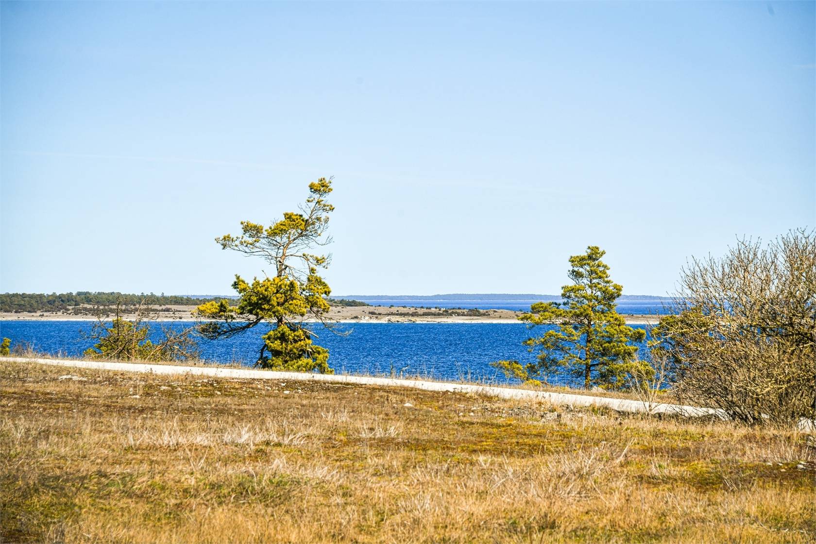 Tomt på Höga land 4 Norra Gotland Gotlands kommun - bild 3