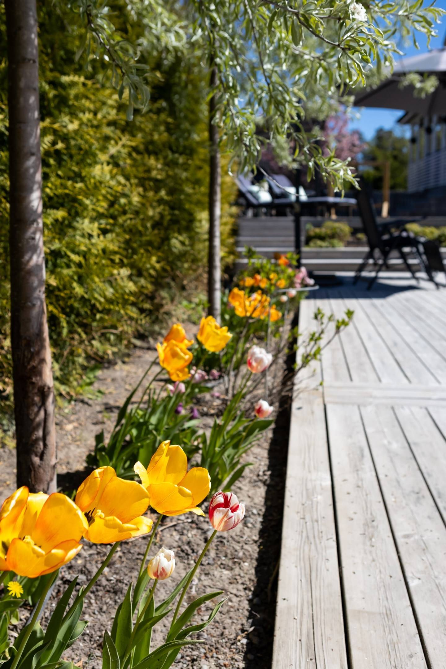 147 m² Villa på Mossbanegatan 75 Haga Kumla kommun - bild 34
