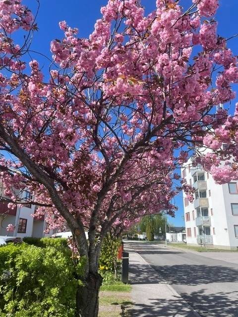 5 rum Lägenhet på Sturegatan 23B Centrala Västervik Västerviks kommun - bild 55