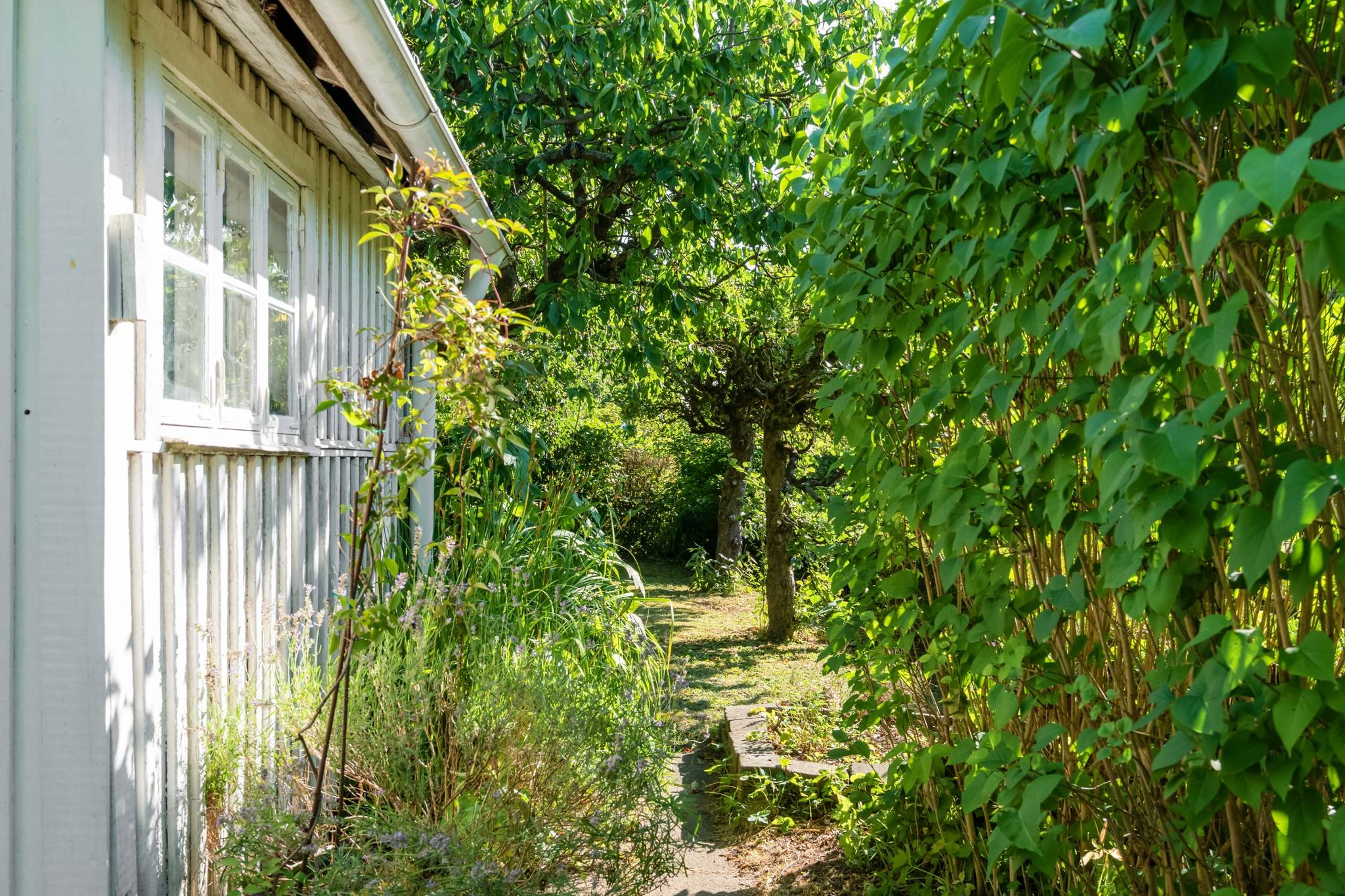 1 rum Fritidshus på Rådmansgatan 15 - kolonistuga nr 58 i koloniområdet Haga Jutahusen Lunds kommun - bild 10