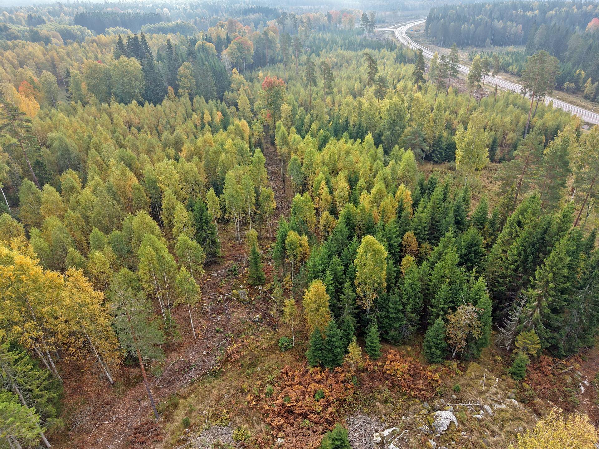 Gård/skog Katrineholms kommun - bild 5