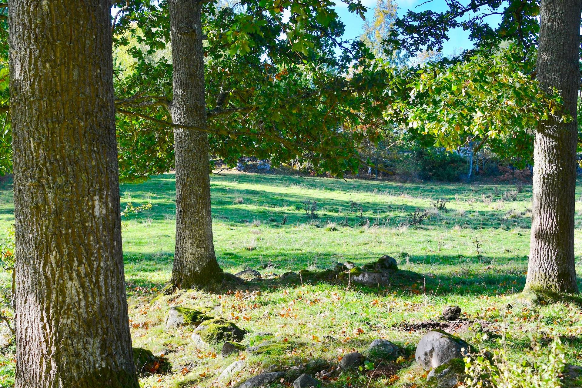 Gård med skogsbruk Binneberg Skövde kommun - bild 36