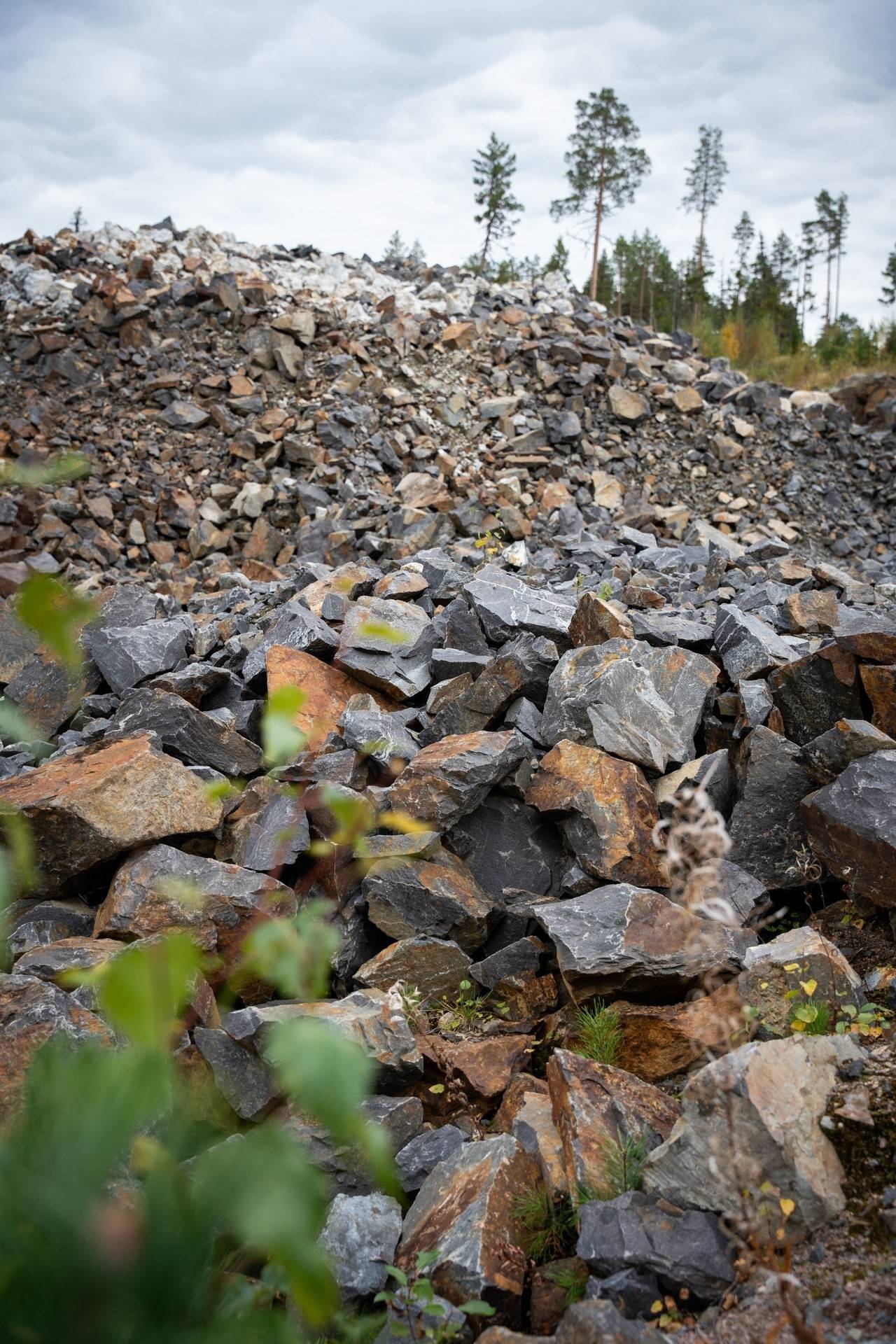 gård med skogsbruk på Sollefteå Västby 13:15 Helgum, Sollefteå kommun - bild 3