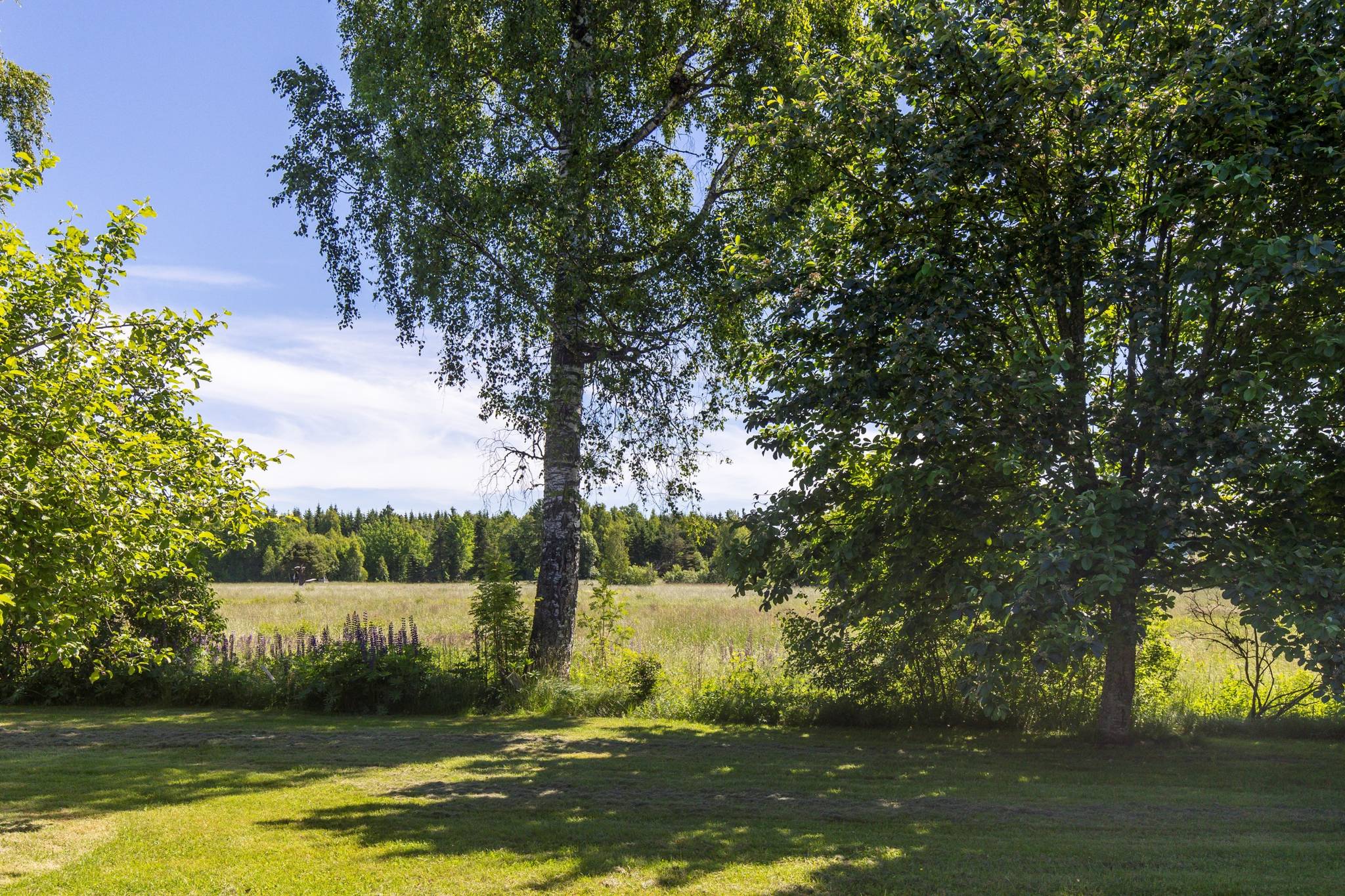 5 rum Gård/skog på Bäckslätten Backagård Kristinehamns kommun - bild 56