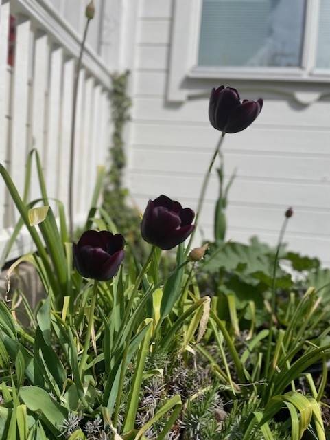 3 rum Villa på Åvägen 9 Vagnhärad Trosa kommun - bild 54