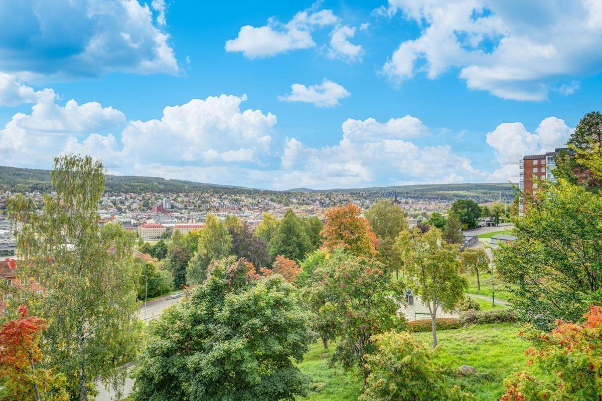 Sundsvall, Sundsvalls kommun