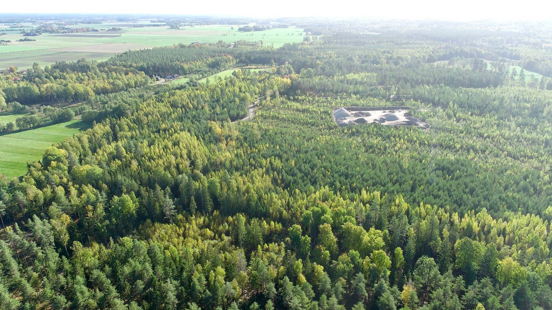 Gård med skogsbruk Binneberg Skövde kommun - bild 9