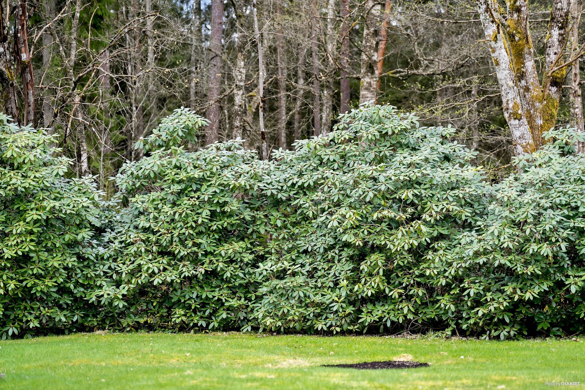 4 rum Villa på Lyckevägen 14 Närsbo Alingsås kommun - bild 26