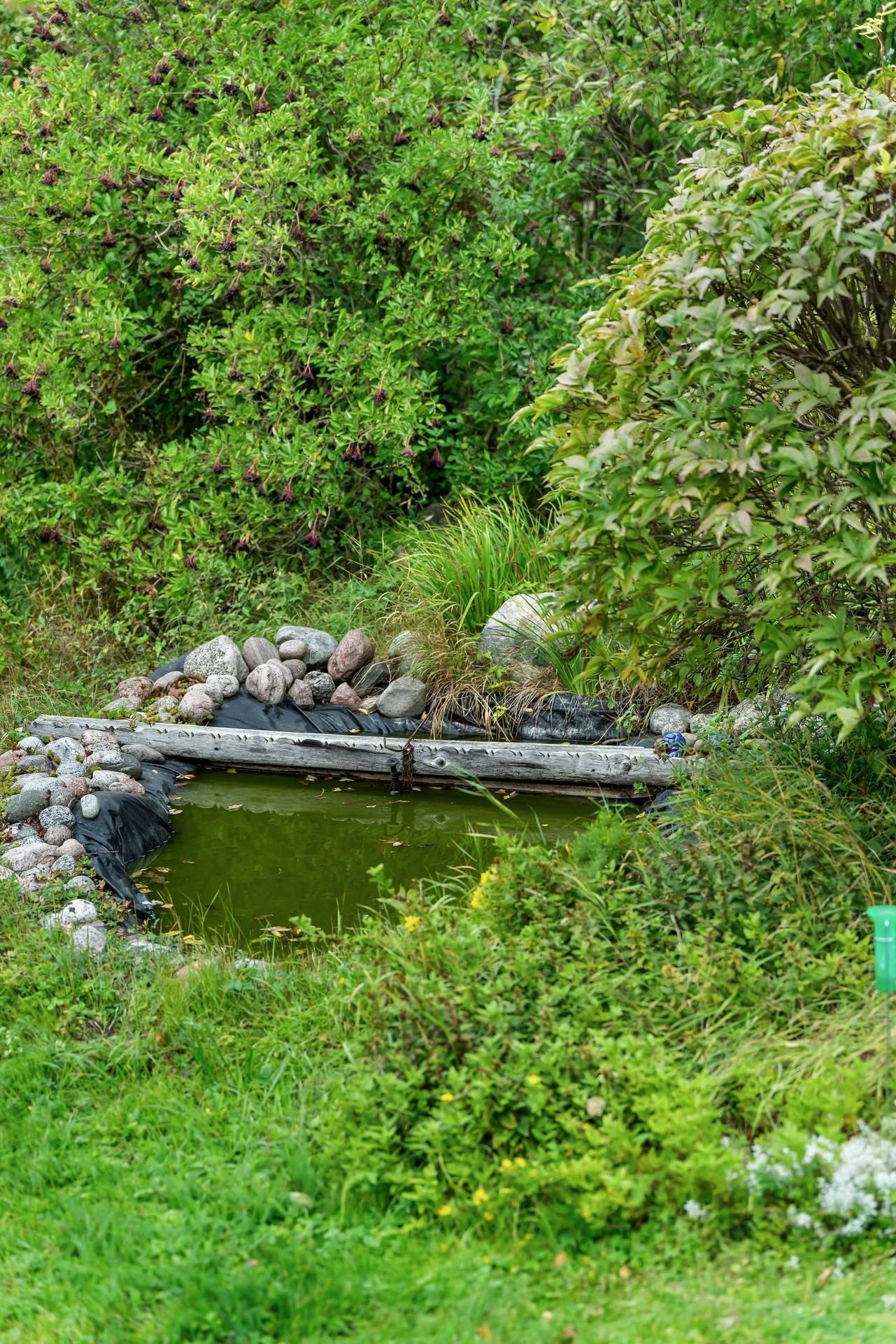 3 rum Gård/skog på Skämsta 131 Skämsta Tierps kommun - bild 42