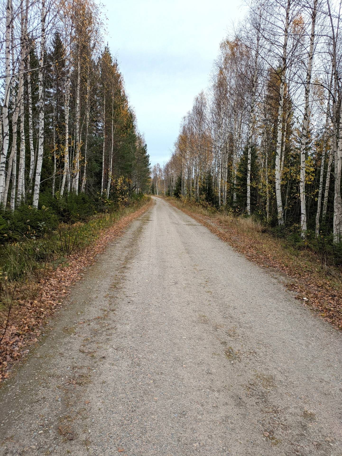 Gård/skog på Skogsfastighet Åckne 3:3 Gnarp Nordanstigs kommun - bild 3