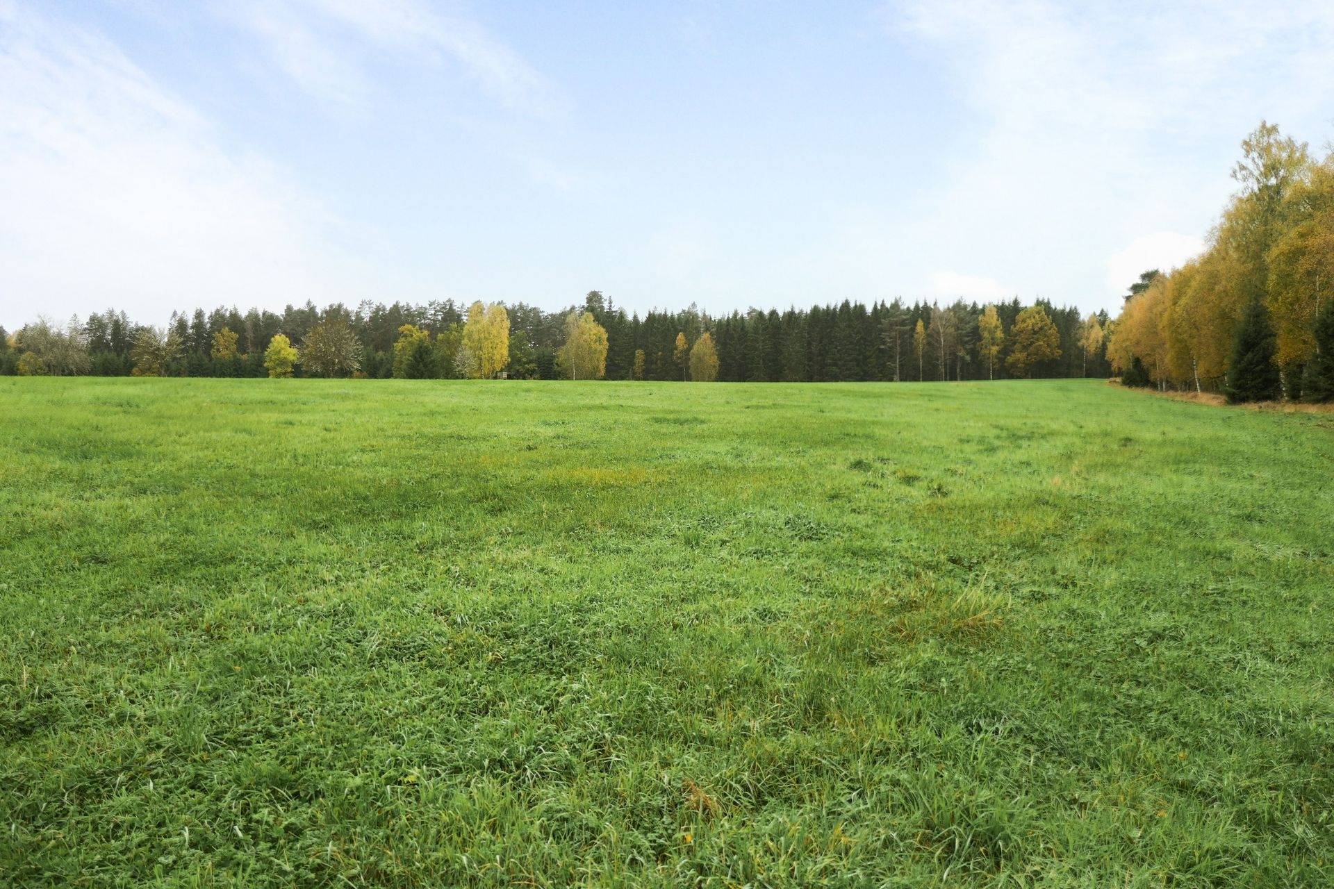 Gård/skog på 56 ha skogsmark med bra bonitet utanför Floby Falköpings kommun - bild 23