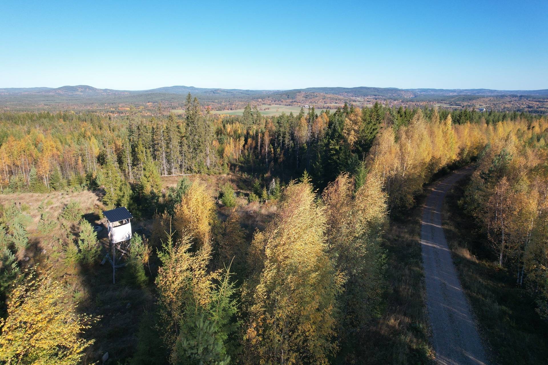 Gård med skogsbruk på Österfors Gagnefs kommun - bild 7