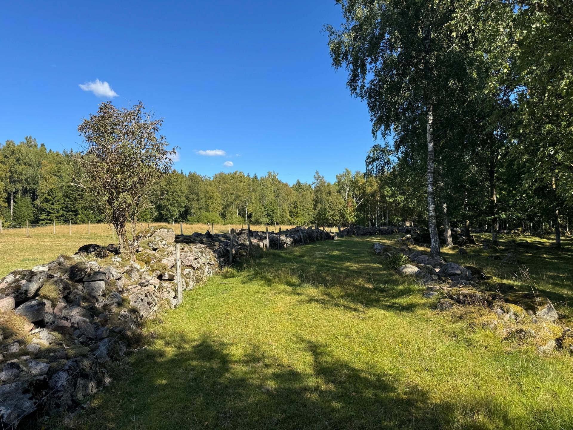 6 rum Gård med jordbruk på Kvarbo gård 2 Borås kommun - bild 43