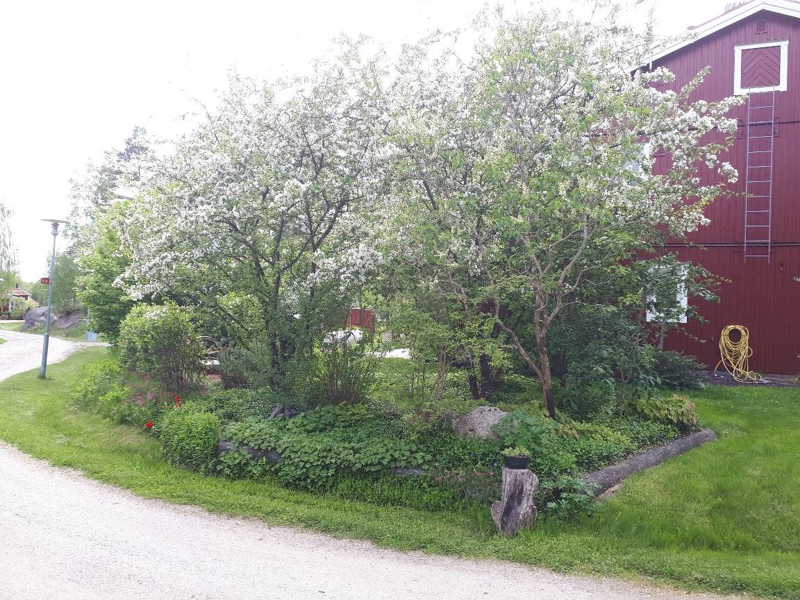 5 rum Parhus på Smedstorpsvägen 14 Vittinge Heby kommun - bild 33