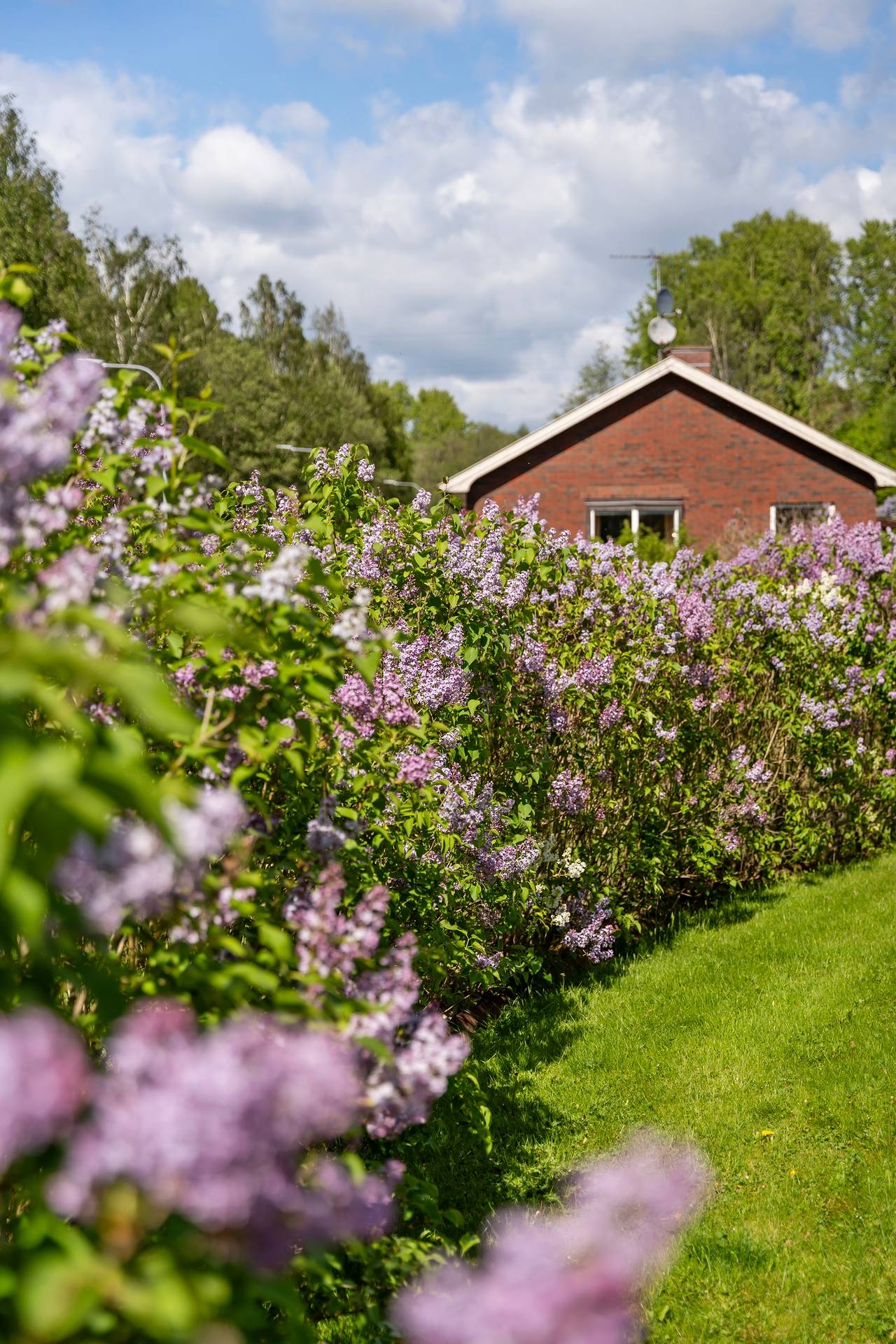 5 rum Villa på Murkelvägen 2 Vännerberg Uddevalla kommun - bild 42