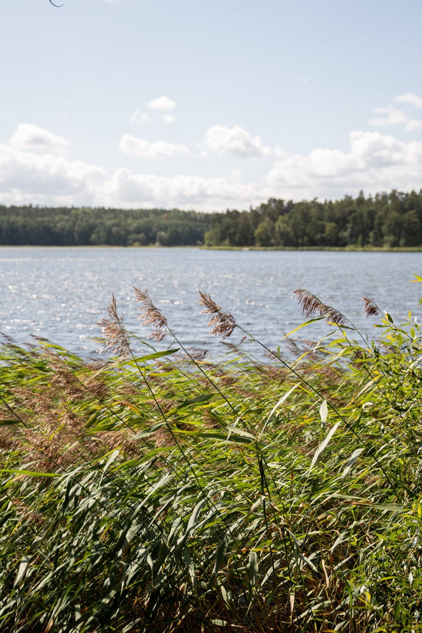 5 rum Radhus på Sparrisbacken 7 HÄSSELBY - VÄLLINGBY Stockholms kommun - bild 89