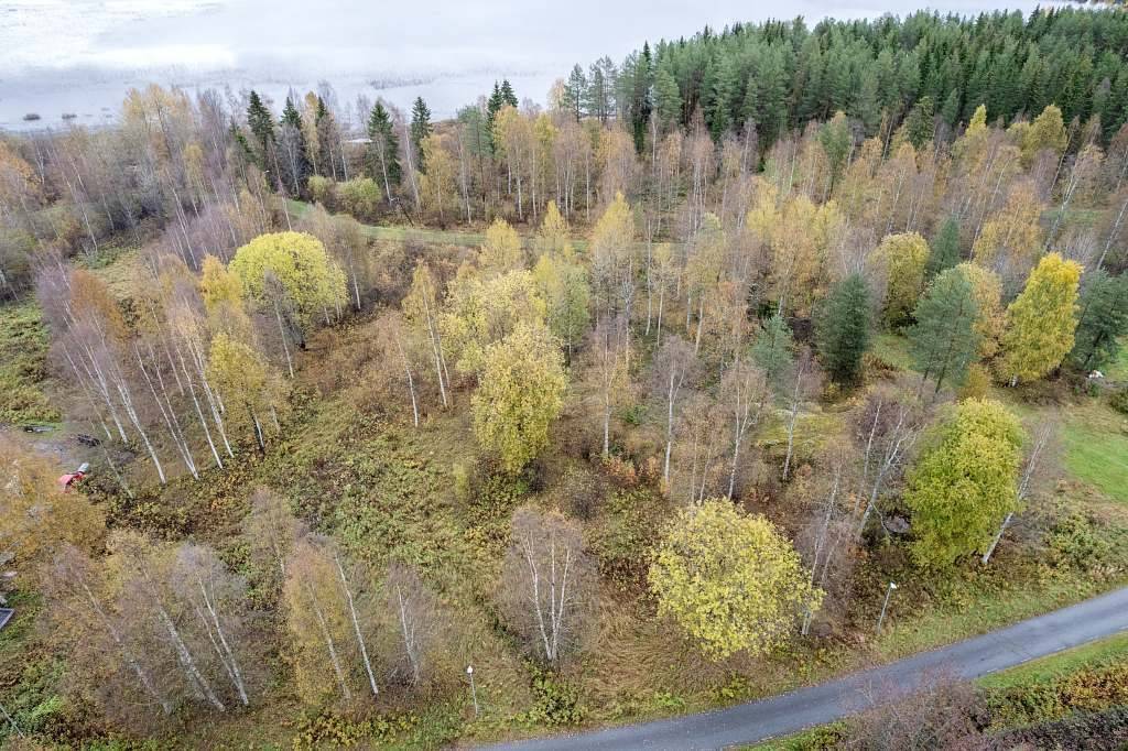 Tomt på Västerlångvägen 30 Råneå Luleå kommun - bild 3