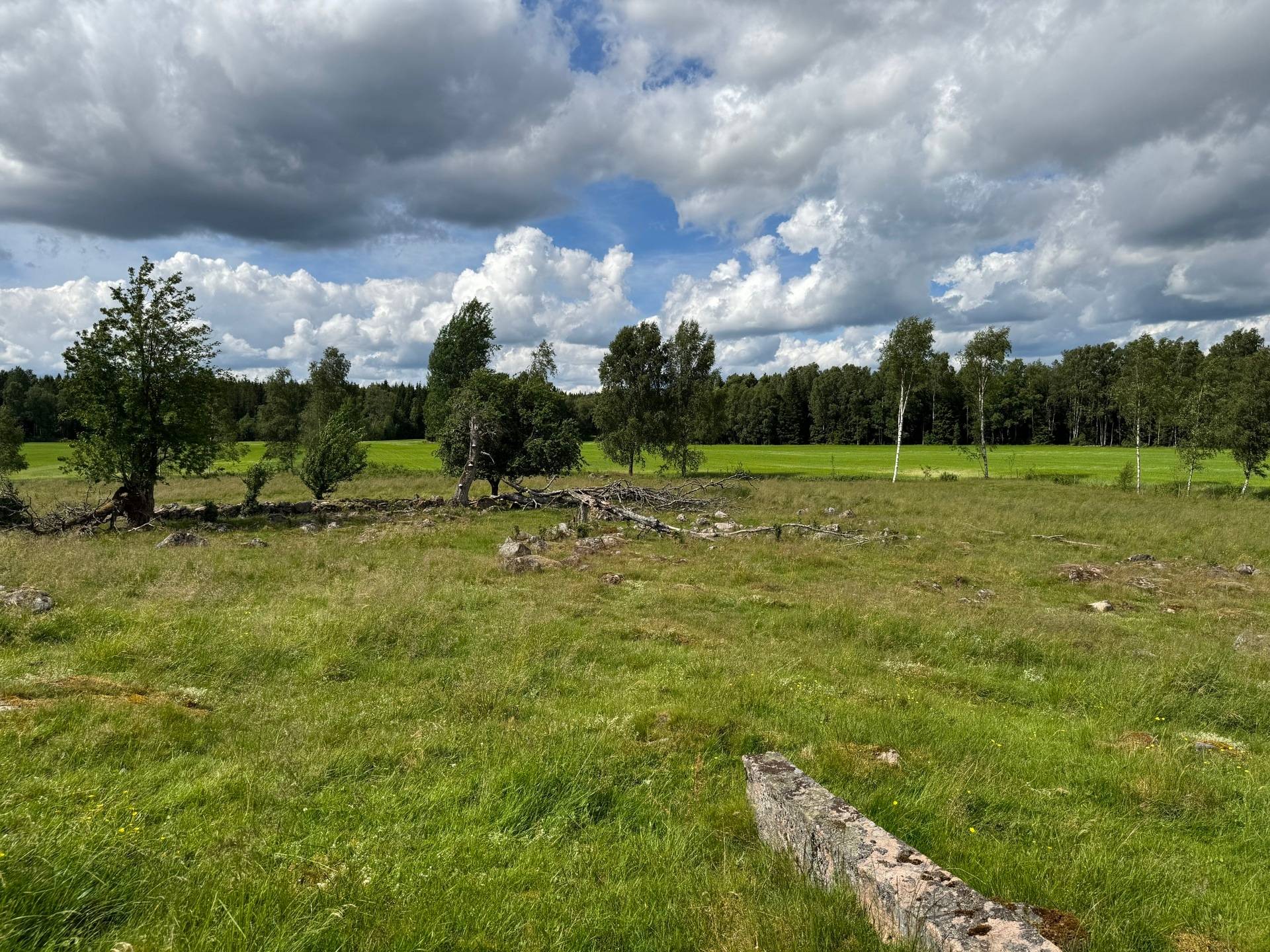 Gård med jordbruk på Ringestena Lillegården 1 Ringestena Svenljunga kommun - bild 60