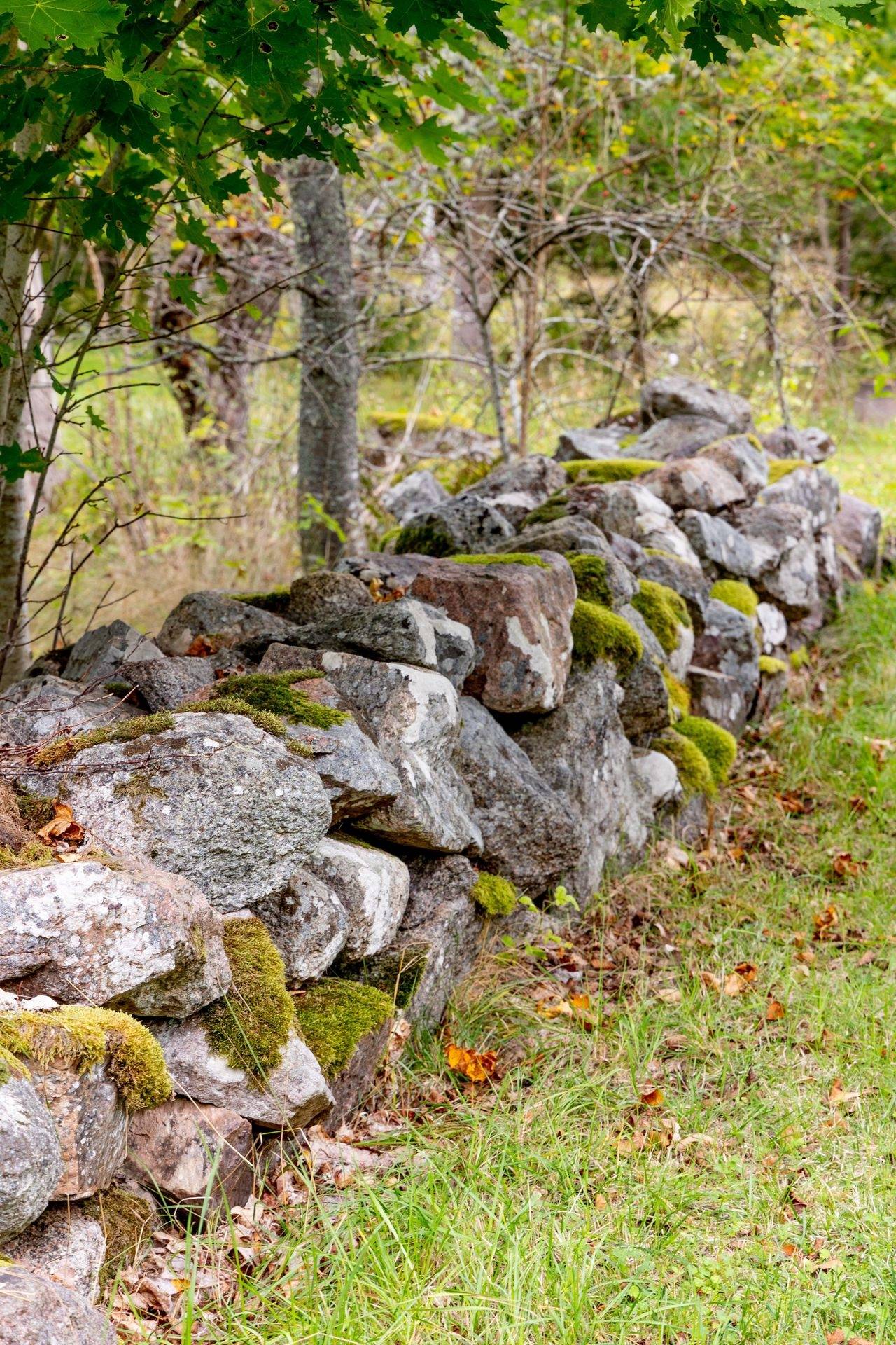 4 rum Gård/skog på Stormandebo Koltorp Västervik/Vimmerby Västerviks kommun - bild 35