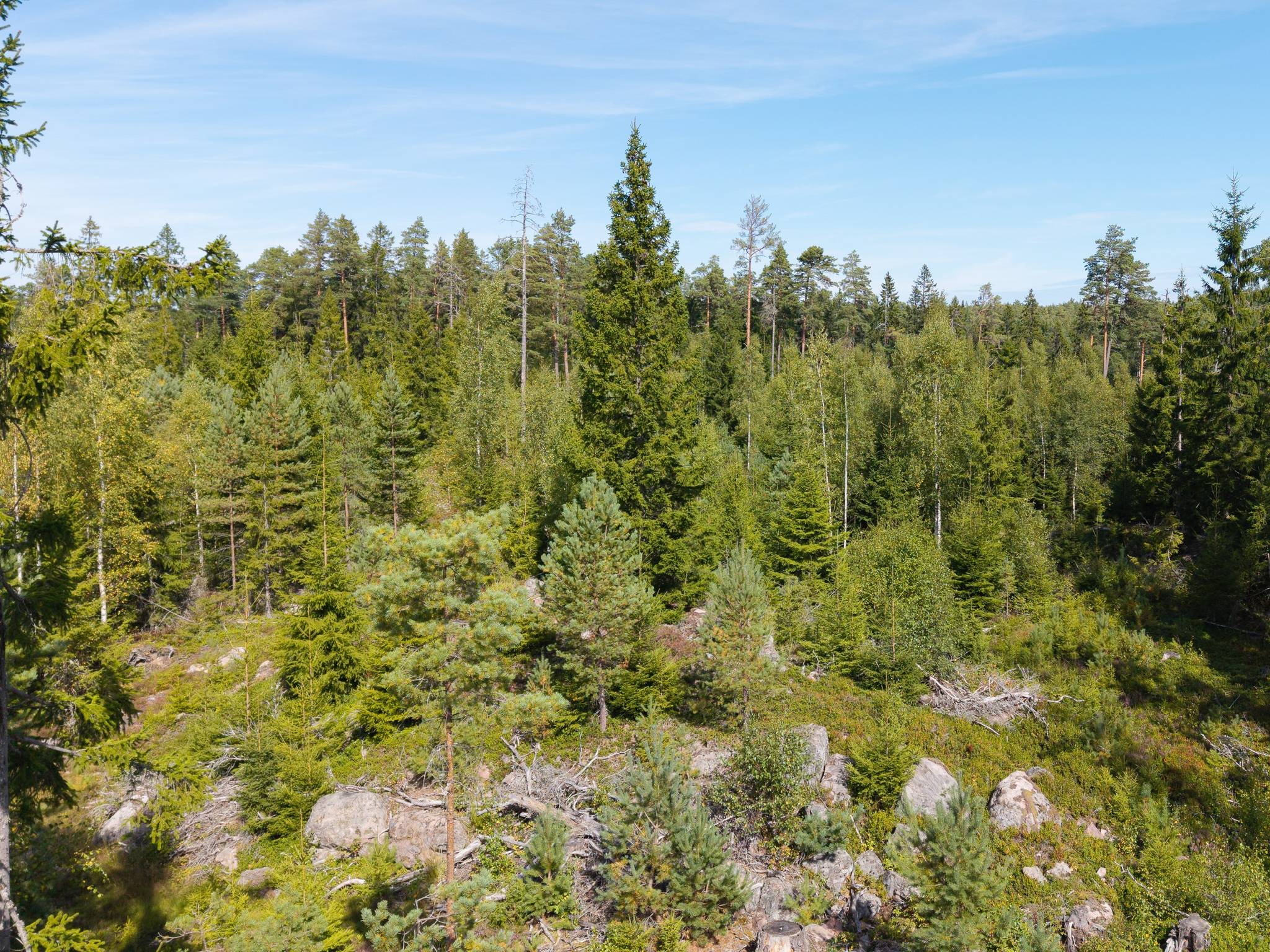 Gård med skogsbruk på Isåsen Askersunds kommun - bild 10