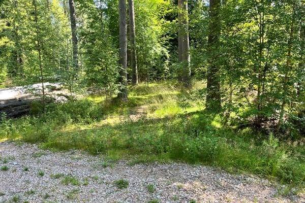 Mora, Mora kommun