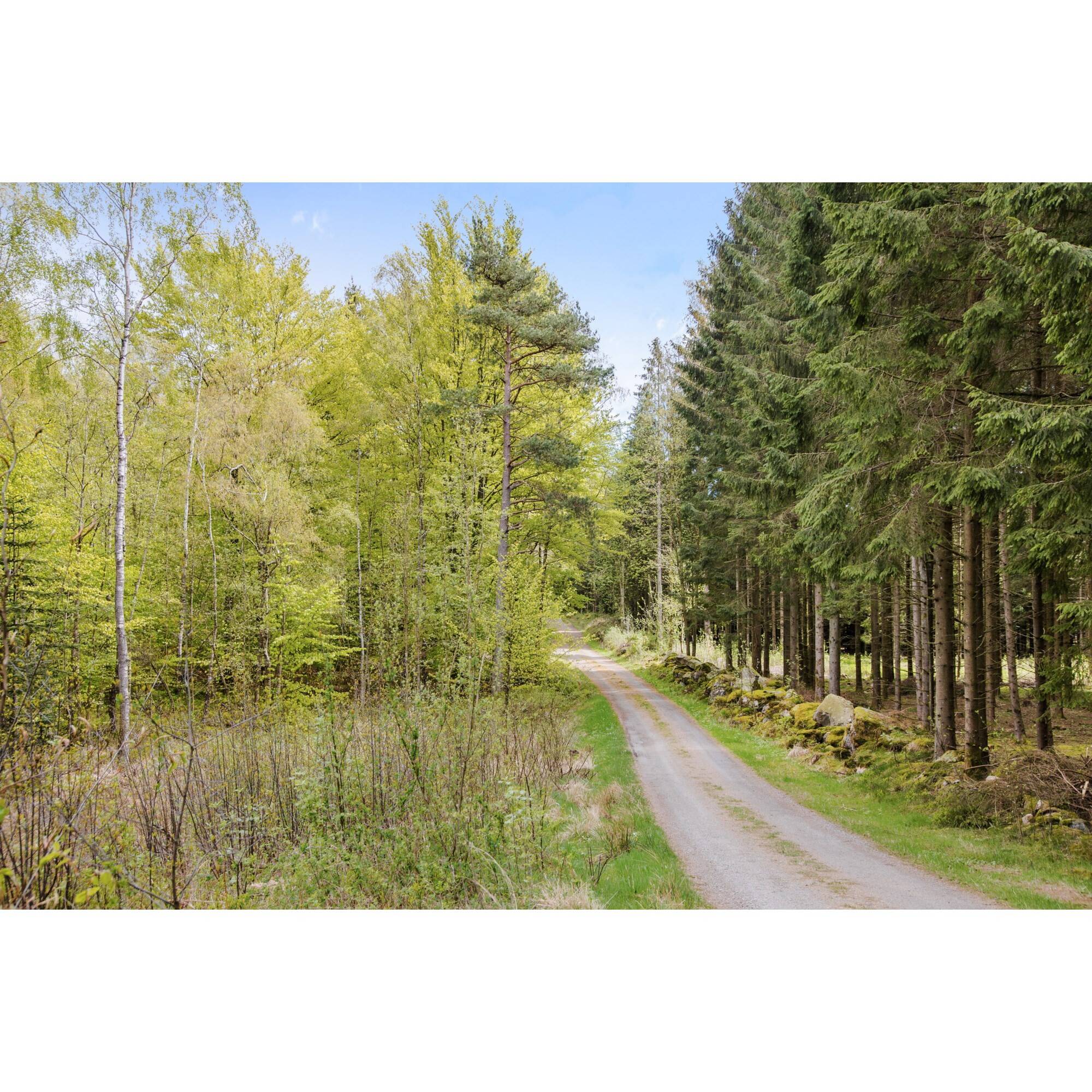 2 rum Fritidshus på Fyrens Alstig 1 Stavershult Laholms kommun - bild 6