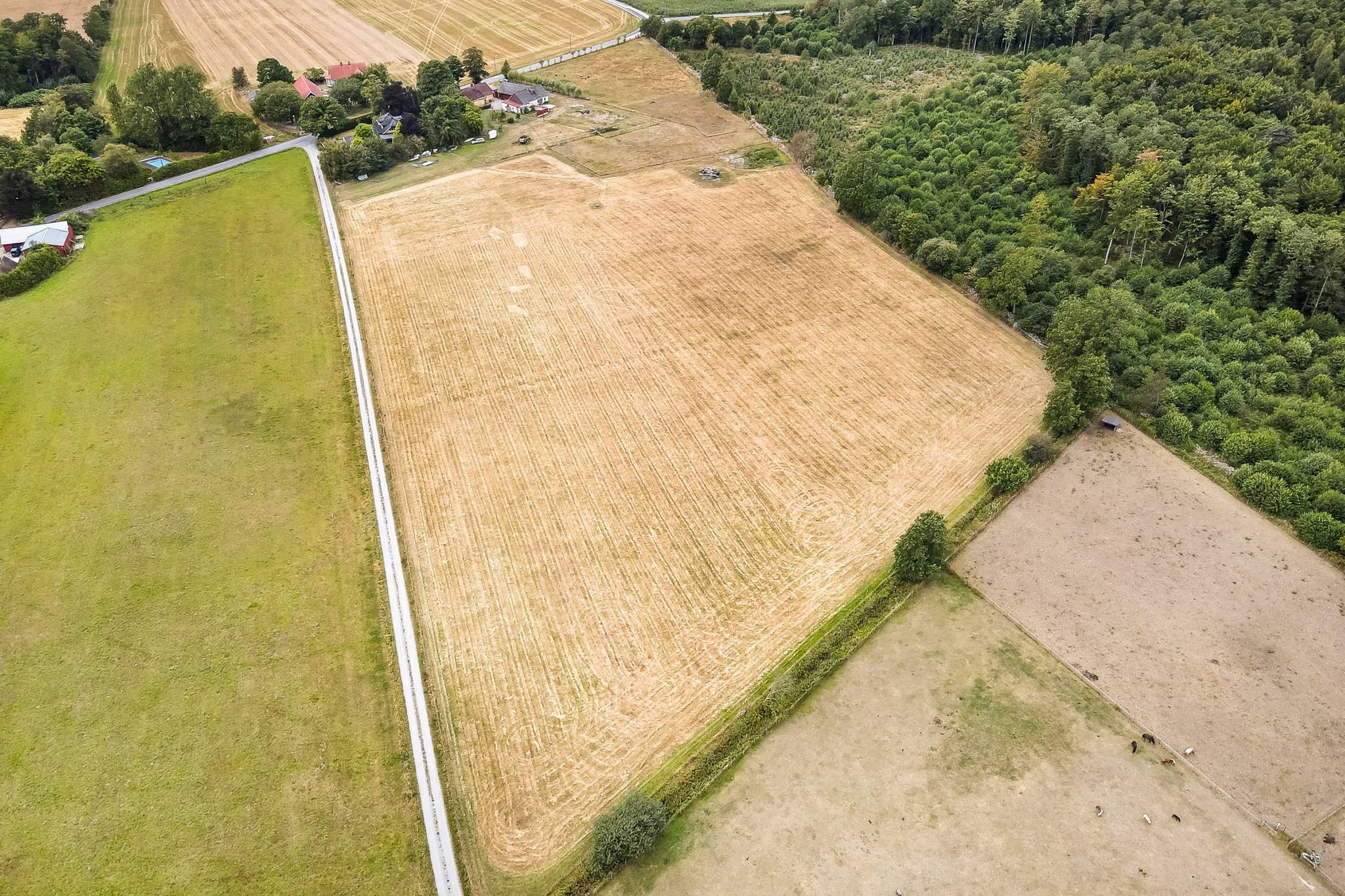 121 m² Gård med jordbruk på Sillaröd 313 Brösarp Tomelilla kommun - bild 4