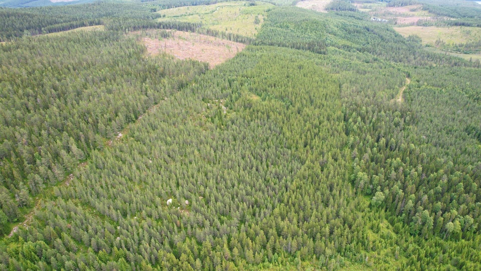 Gård med skogsbruk på BRÄCKE SÖSJÖ 2:5, 1:28, 2:34 och 2:35 Bräcke kommun - bild 5