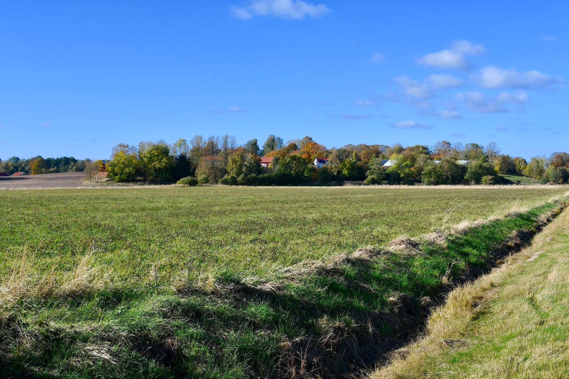 Gård med skogsbruk Binneberg Skövde kommun - bild 47