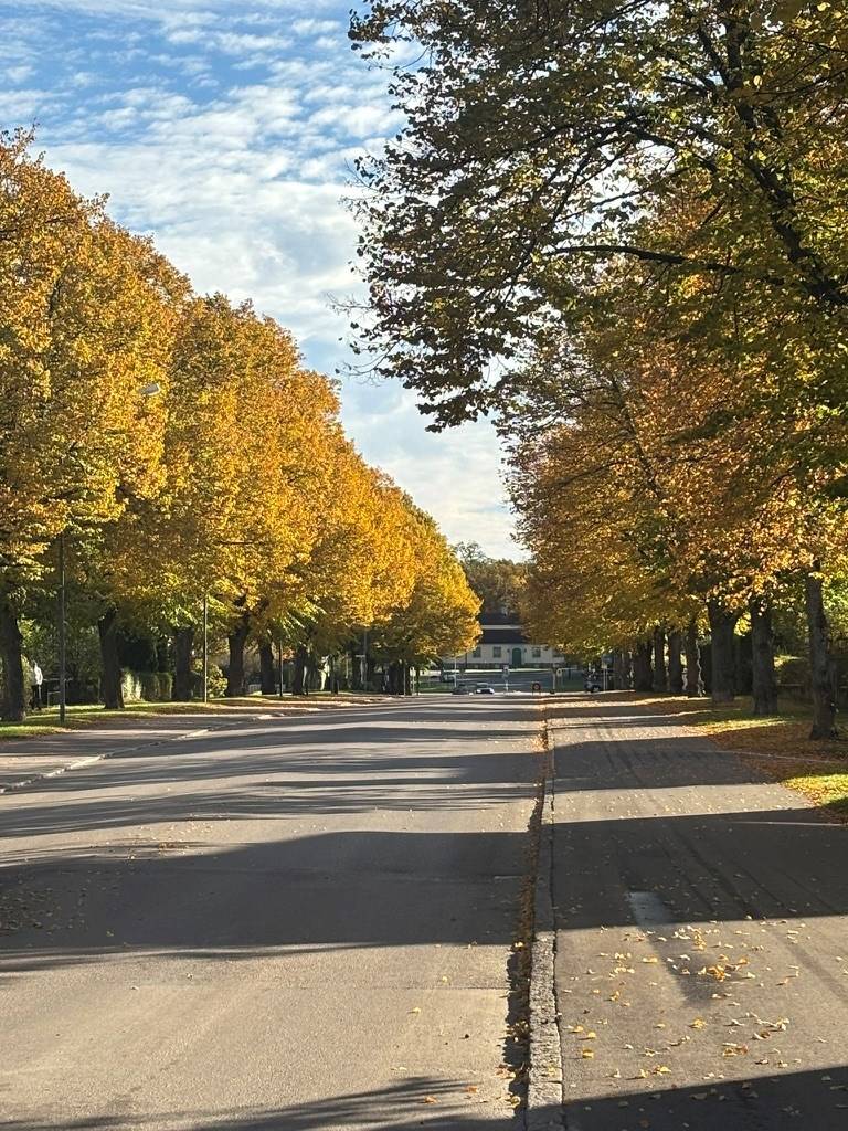2 rum Lägenhet på Intagsgatan 7B Djurgården Eskilstuna kommun - bild 20