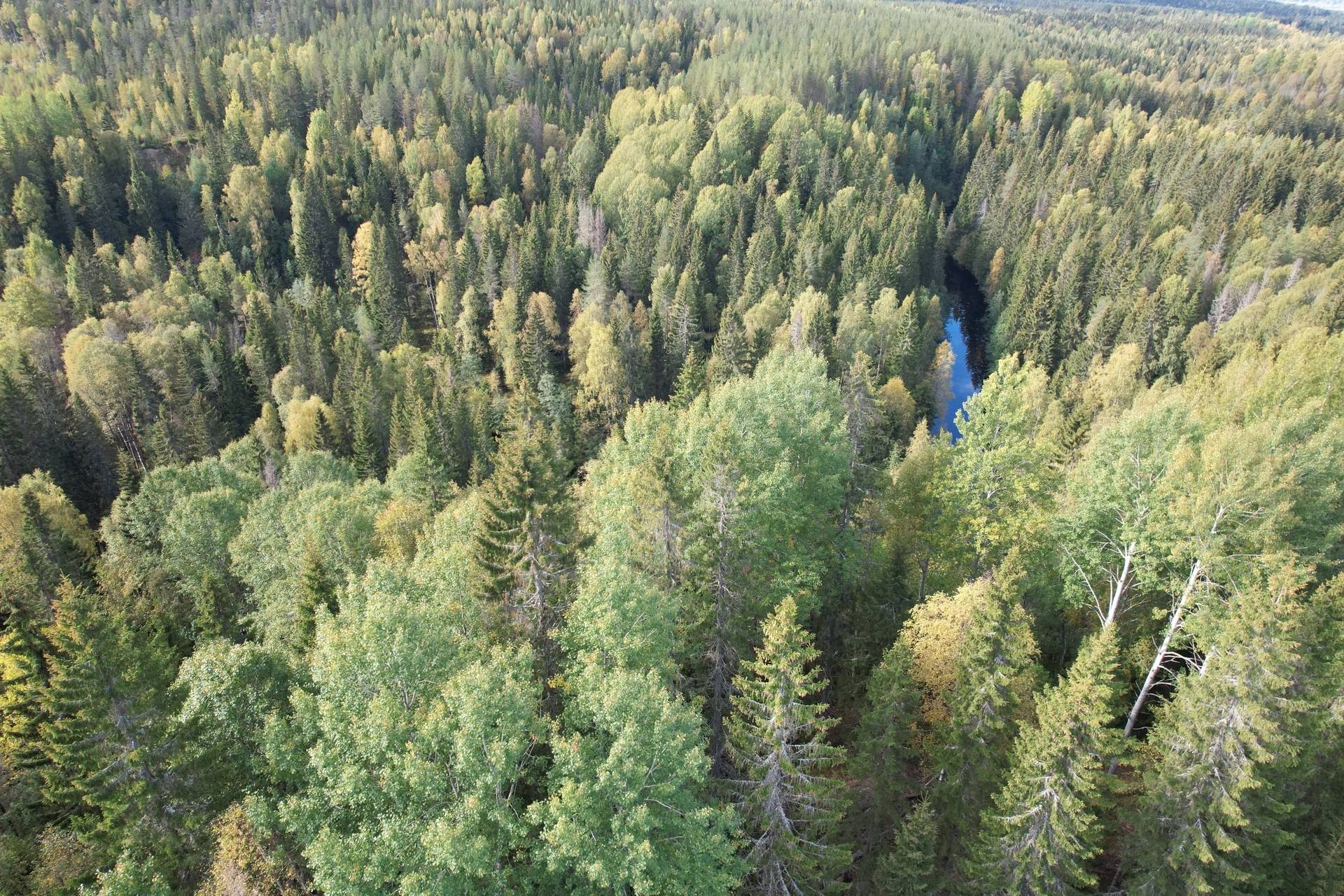 6 rum Gård med jordbruk på Mullsjö 85 Nordmalings kommun - bild 49