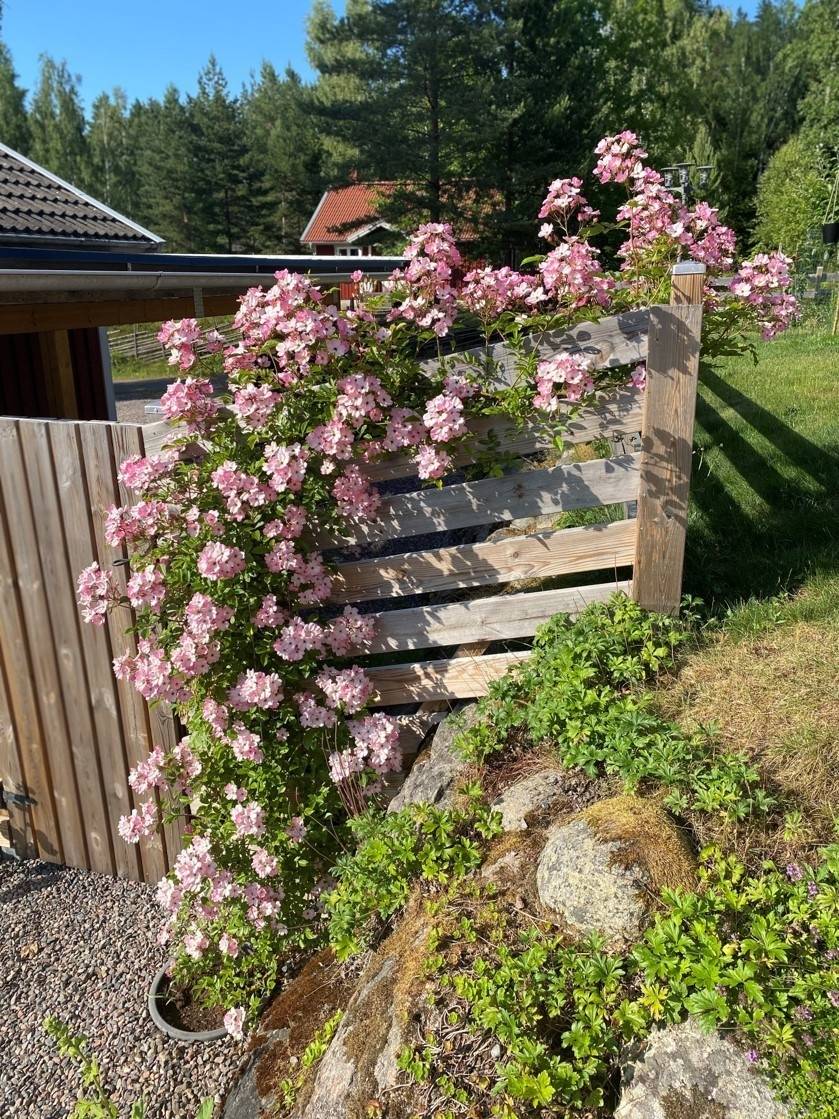 6 rum Villa på Sikudden 32 Askersund Askersunds kommun - bild 32