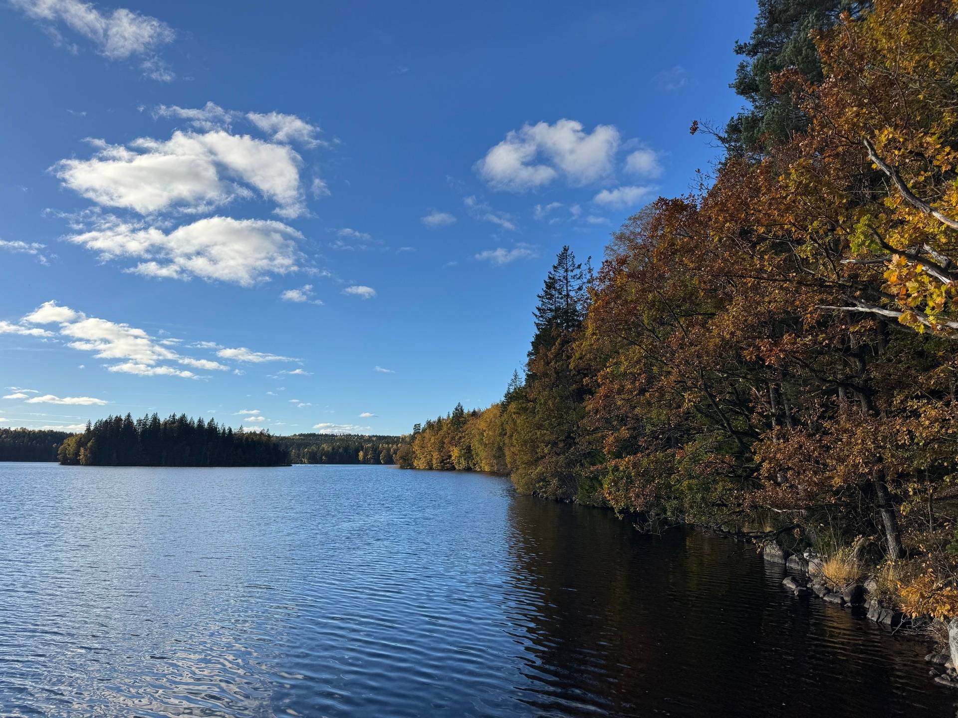 Gård med skogsbruk på Tokhult 1:13 Öxabäck Marks kommun - bild 5