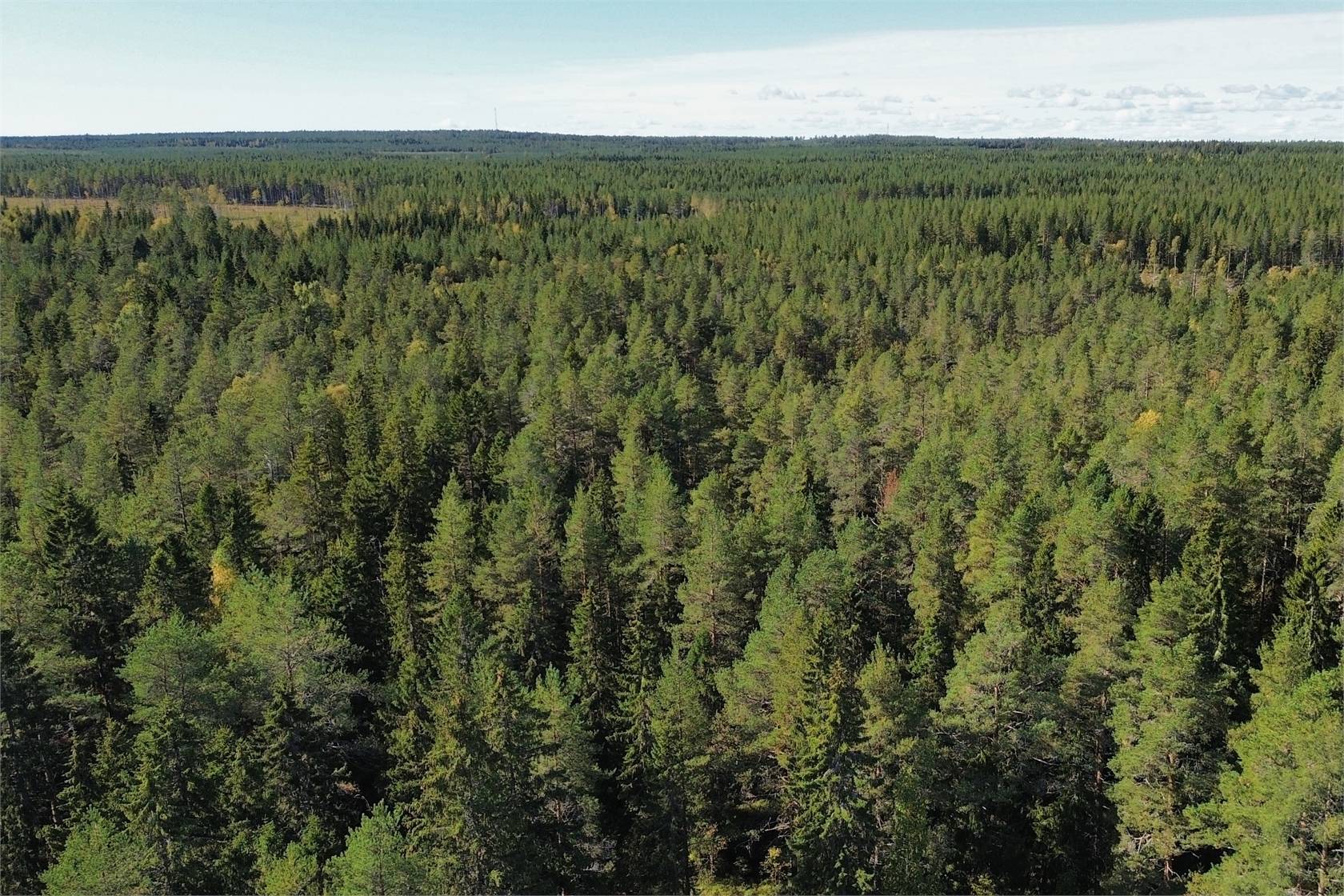 5 rum Villa på Kyan 218 Lövånger Skellefteå kommun - bild 54