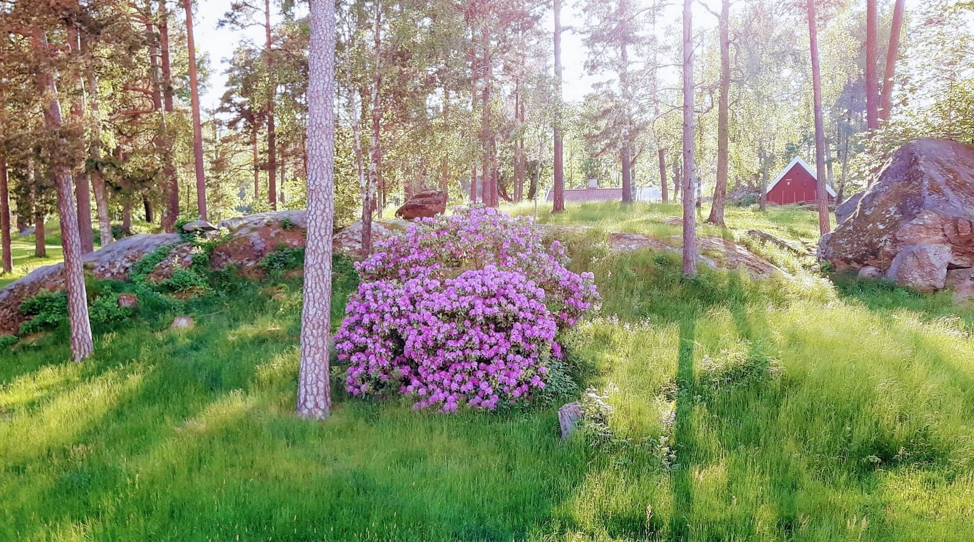 4 rum Lägenhet på Lagercrantz Plats 10B Centralt Borås kommun - bild 23
