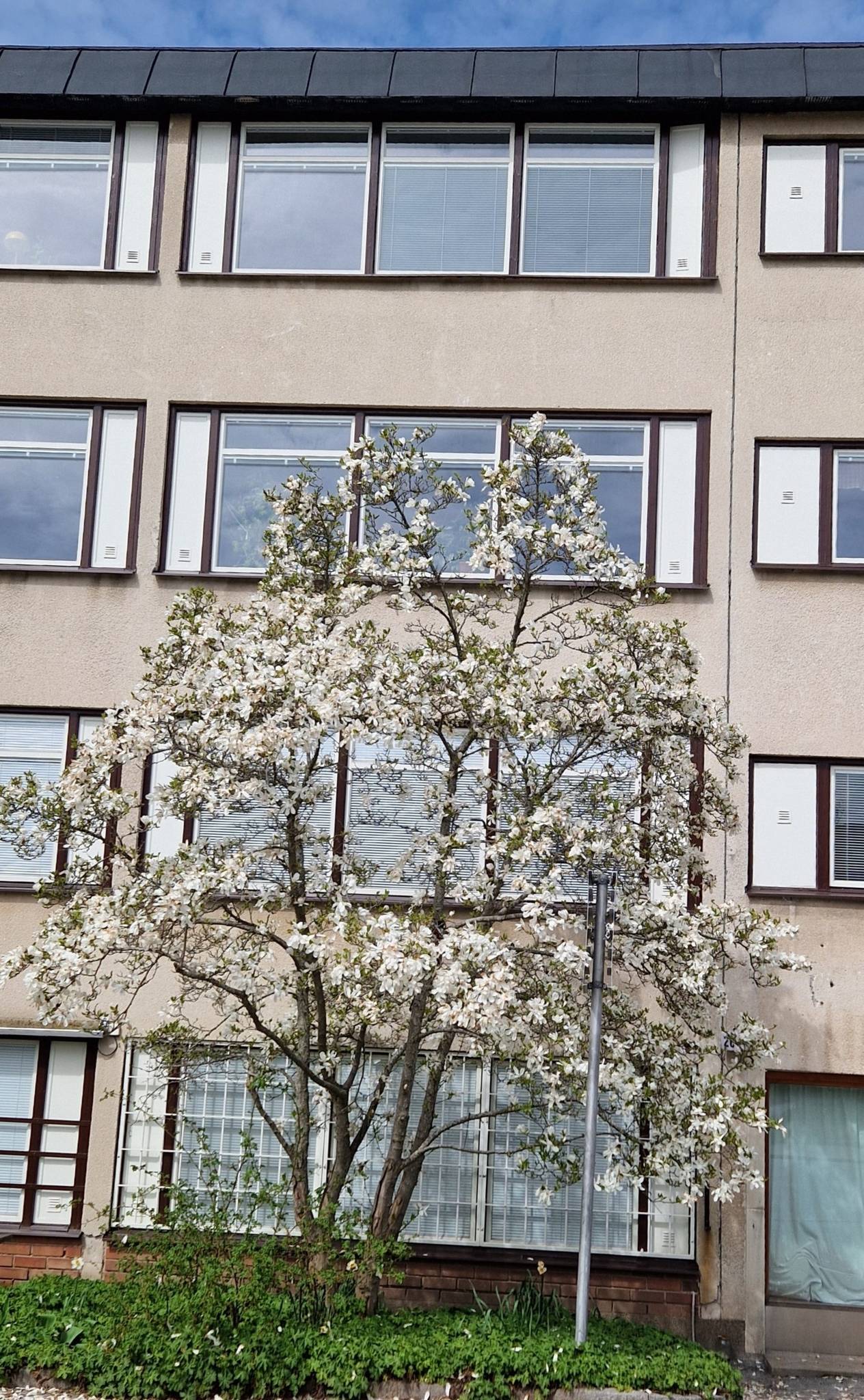 5 rum Lägenhet på Grenljusbacken 26 Gröndal Stockholms kommun - bild 61