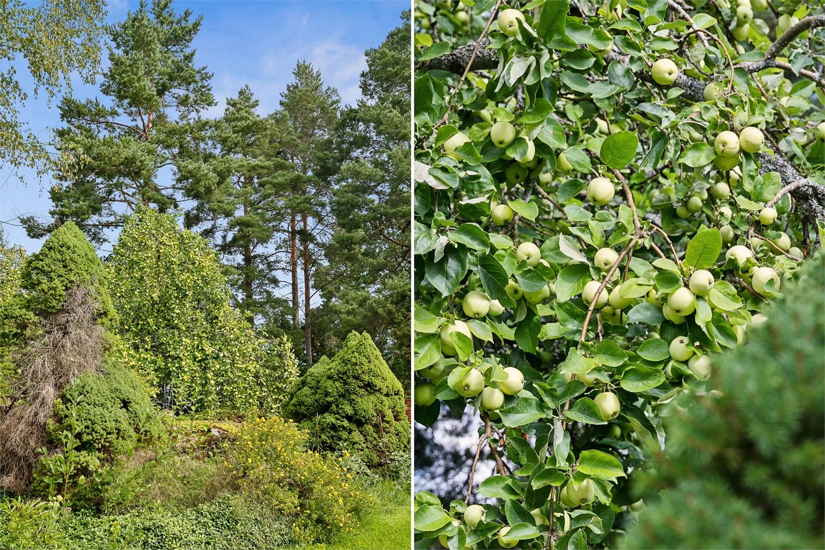 2 rum Fritidshus på Jonasberg Lindäng Näshulta Eskilstuna kommun - bild 21