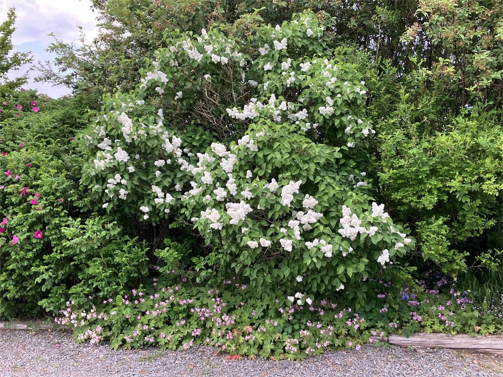 4 rum Villa på Stråby 64 Trunnerup Skurups kommun - bild 35