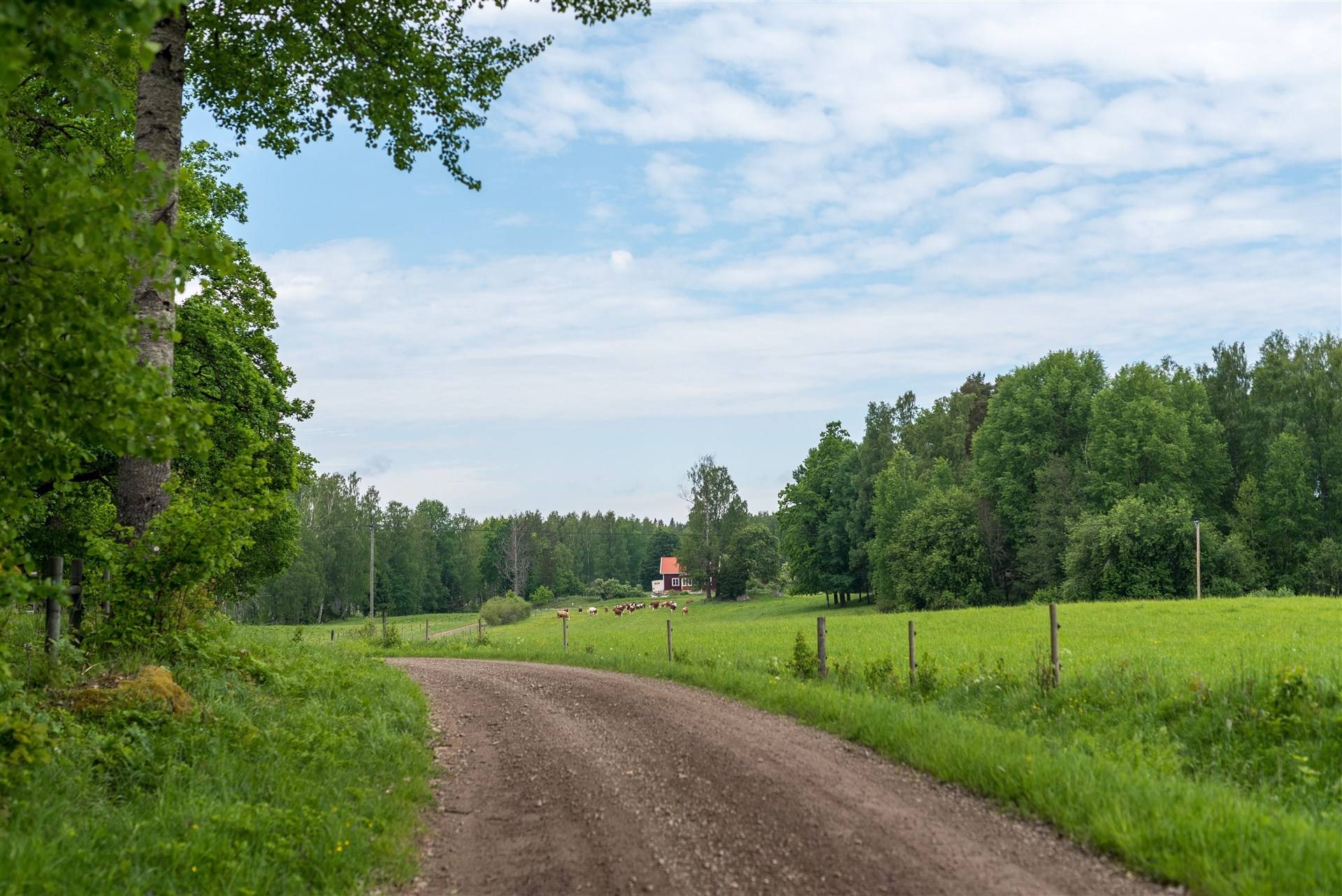 5 rum Vinterbonat fritidshus på Bo Gamla Småskolan 415 Bo - Hjortkvarn Hallsbergs kommun - bild 66
