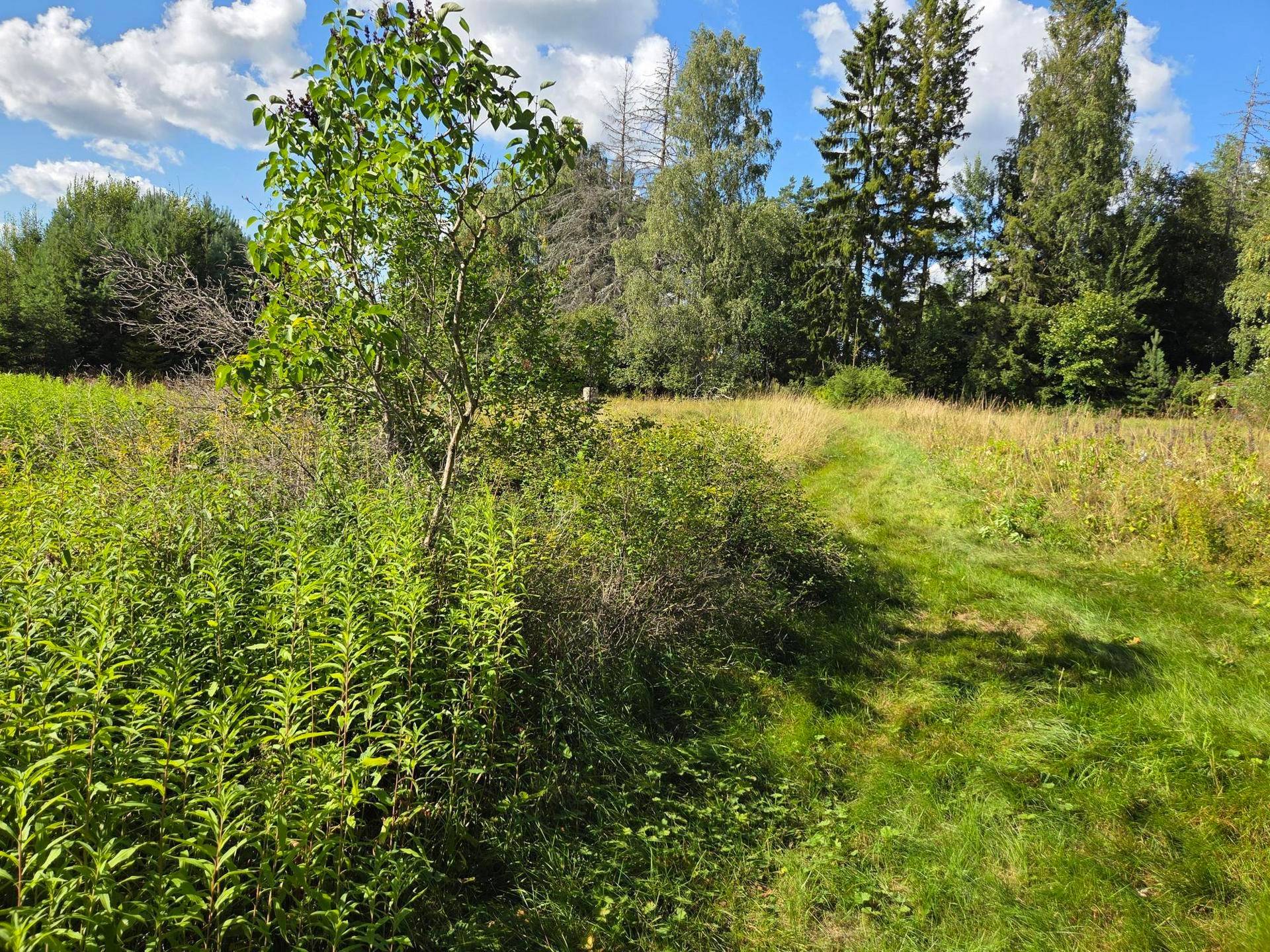 35 m² Villa på Axlunda 107 Björklinge Uppsala kommun - bild 17