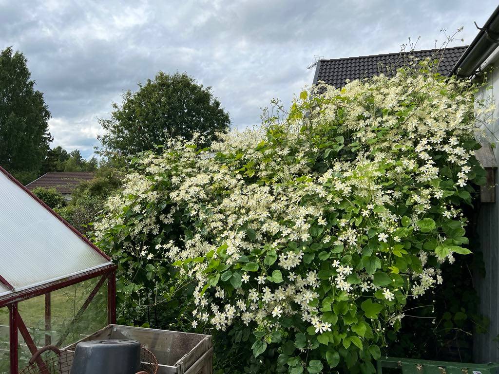 7 rum Villa på Barrgränd 1 Hallstavik Norrtälje kommun - bild 35