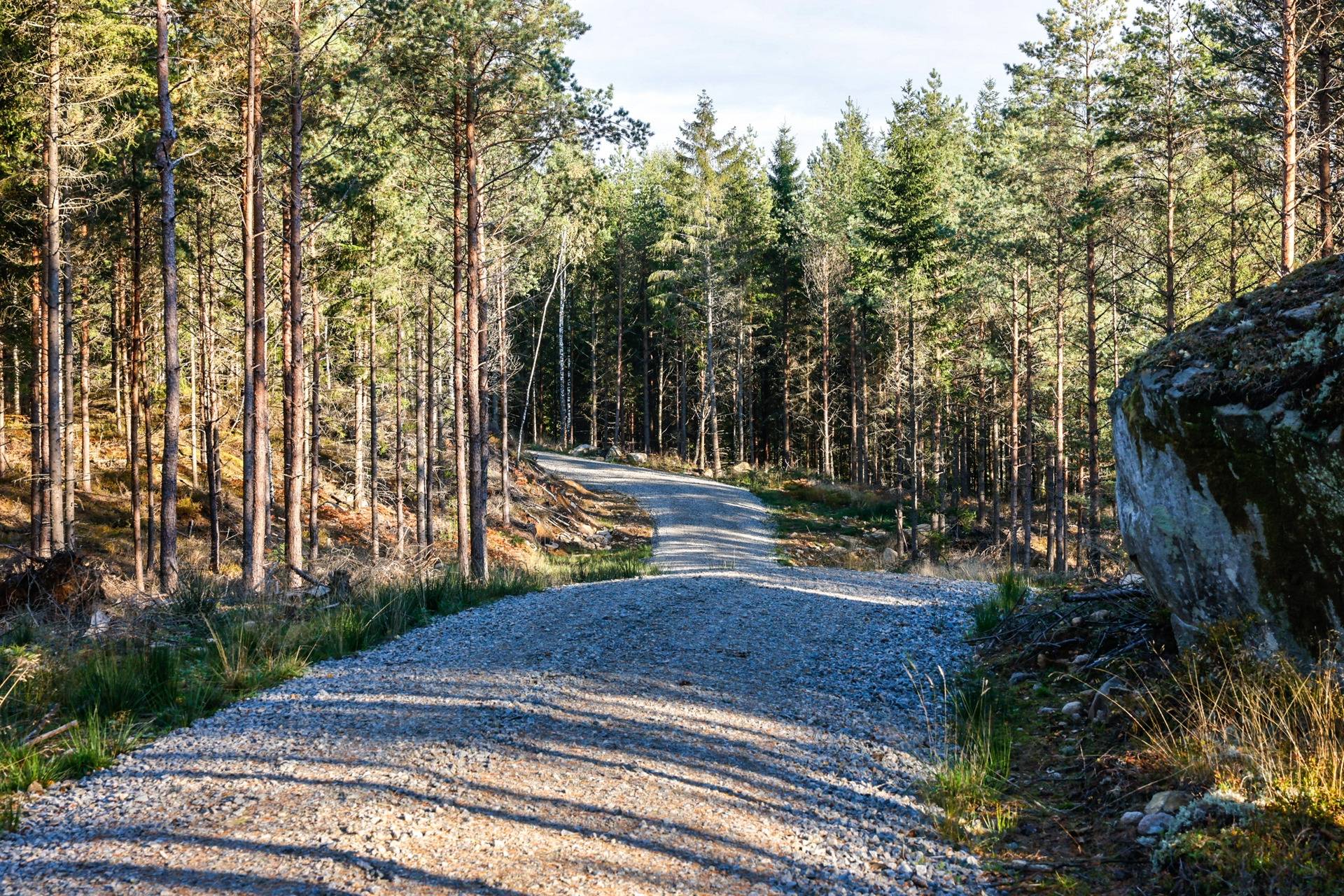 Gård/skog på SVENLJUNGA UGGLEBO 2:3 Örsås Svenljunga kommun - bild 3