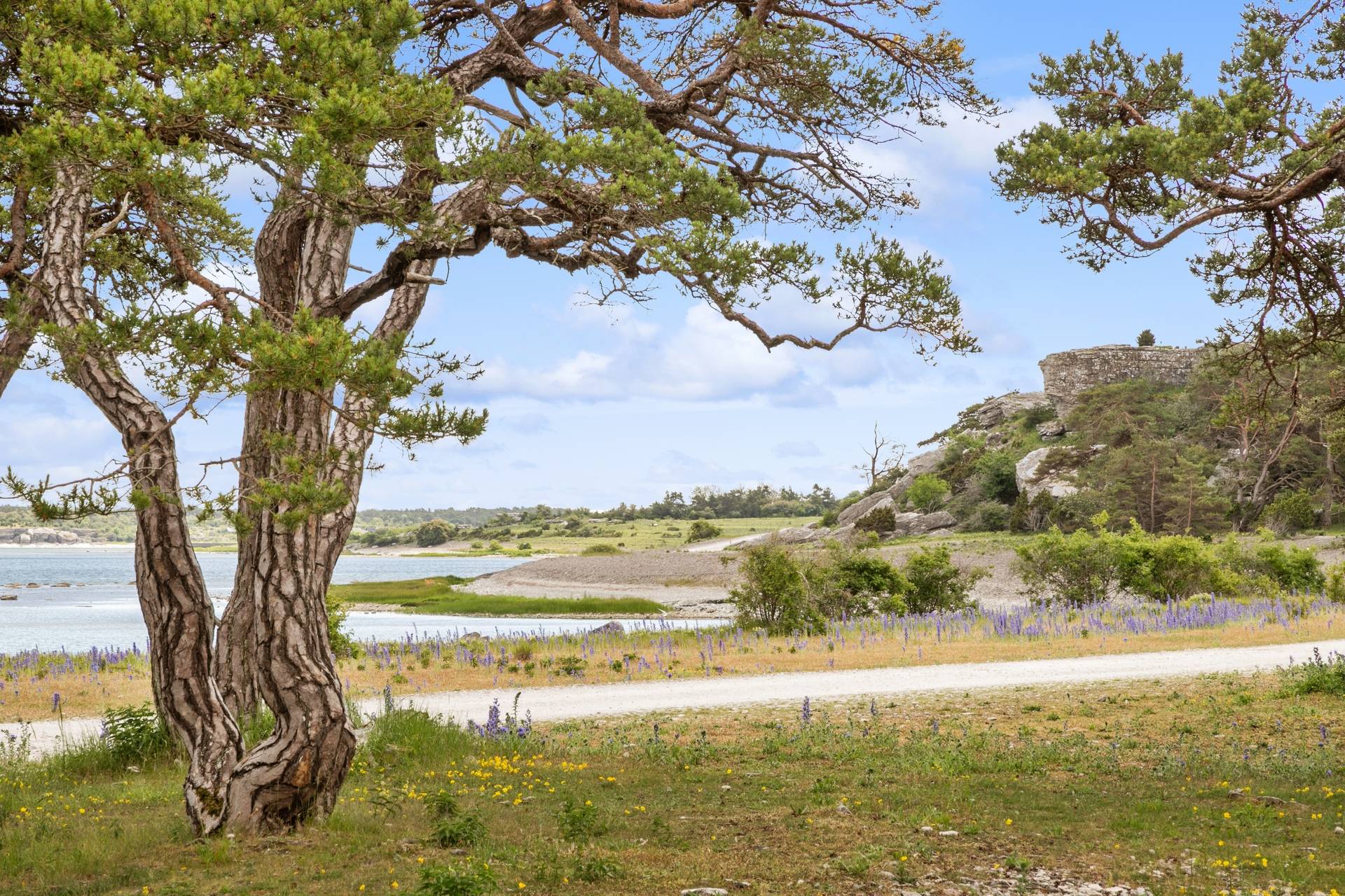 4 rum Fritidsboende på Gammelgarn Tykos stig 6 Östergarnslandet Gotlands kommun - bild 42
