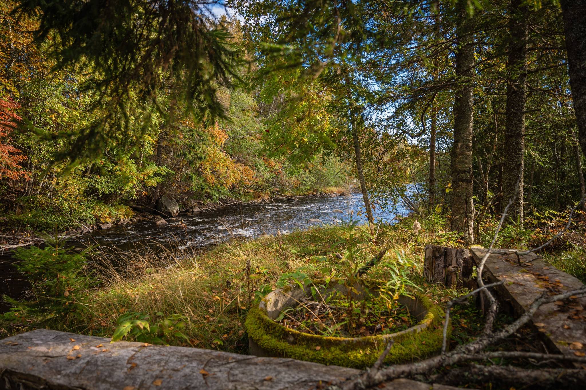 5 rum Gård/skog på Önska 122 Önska Örnsköldsviks kommun - bild 49