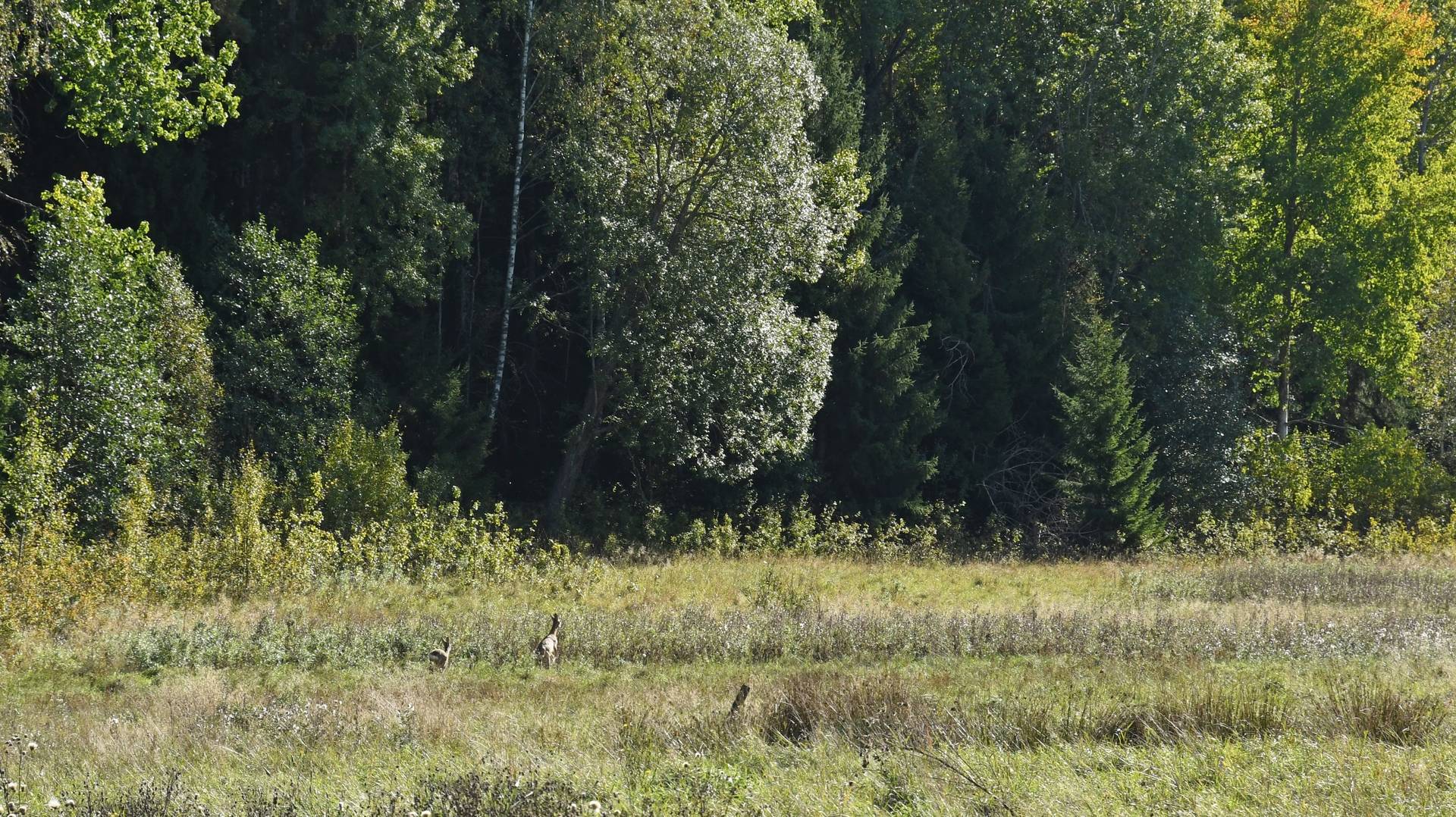 Gård med jordbruk på Ottersta Nynäshamns kommun - bild 42