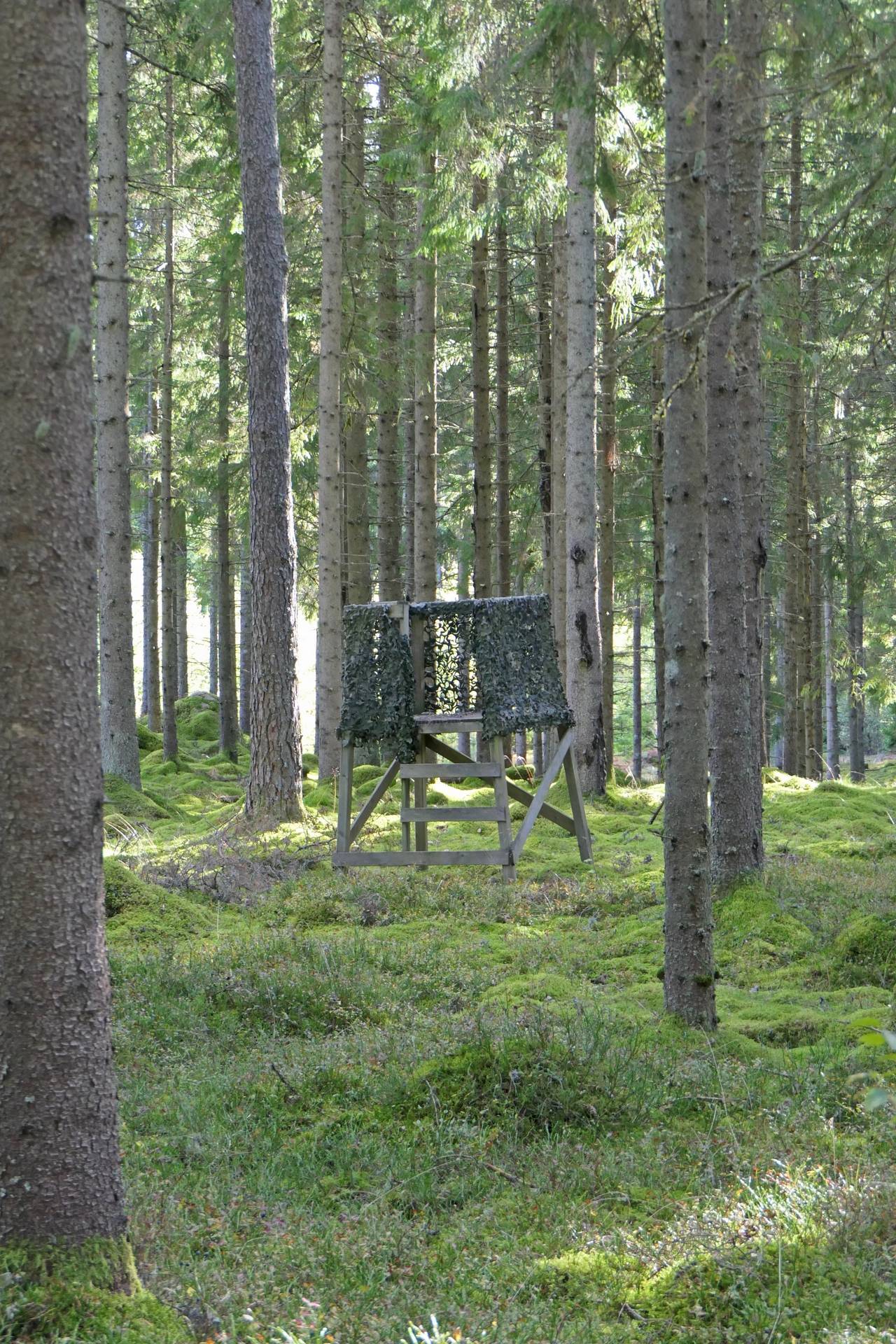 Gård/skog på Sexdrega-Hestra Svenljunga kommun - bild 8