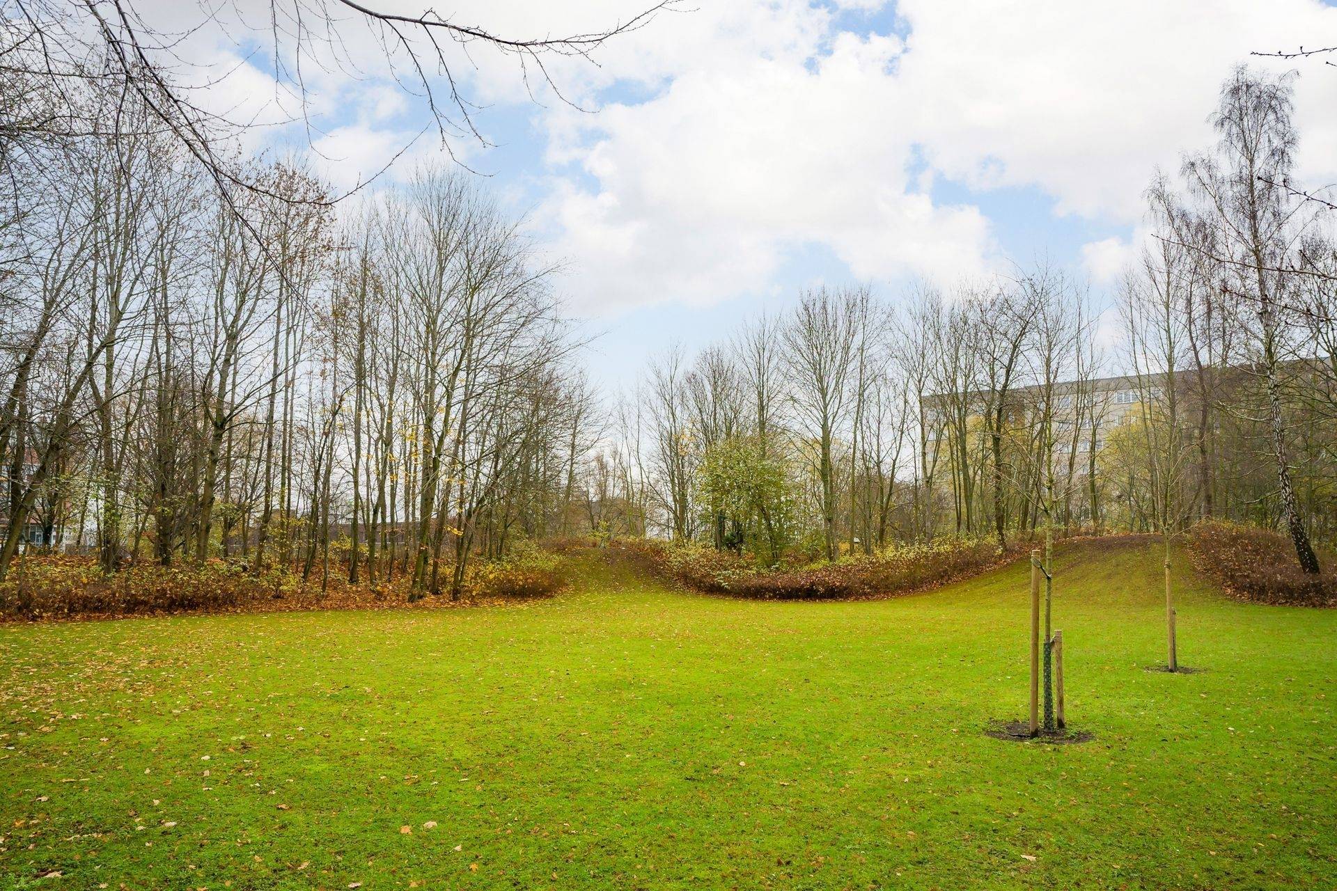 3 rum Lägenhet på Serenadgatan 62 Högaholm Malmö kommun - bild 16