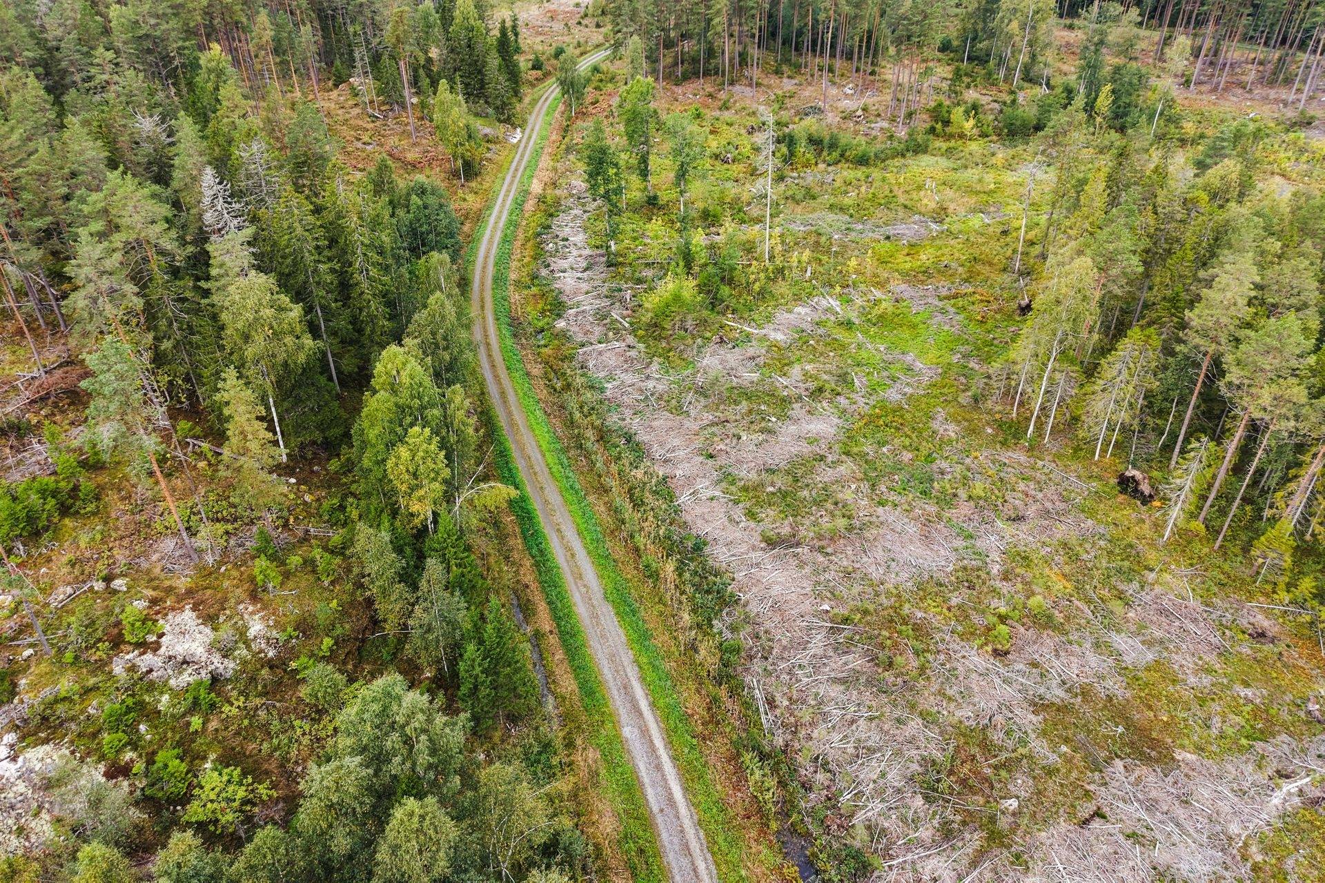 Gård med skogsbruk på Norrtälje Bro 4:8 & 8:1 Norrtälje kommun - bild 17