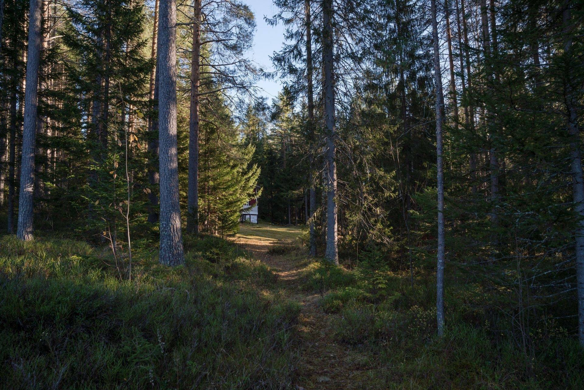 4 rum Fritidsboende på Ljusvattnet 287 Burträsk Skellefteå kommun - bild 8