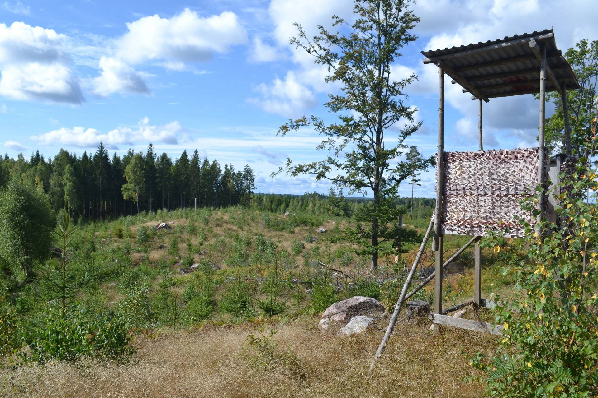 Gård med skogsbruk på Jeppa Svenstorp 2150 Jeppa Svenstorp Osby kommun - bild 10